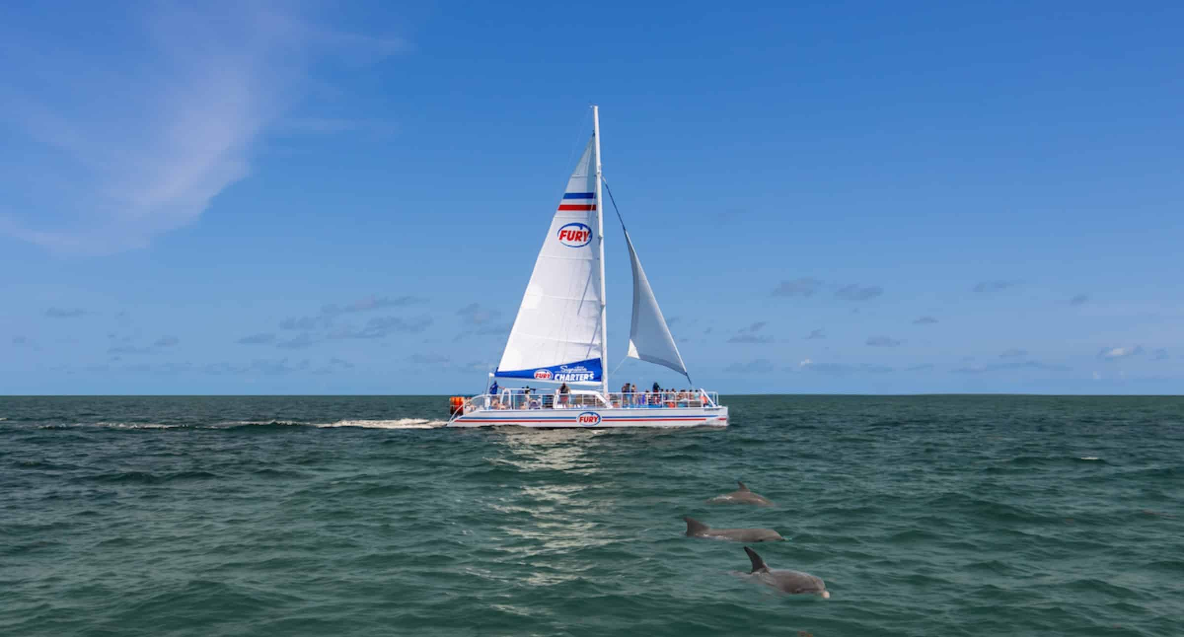 Dolphin-Watch-And-Historical-Harbor-Tour