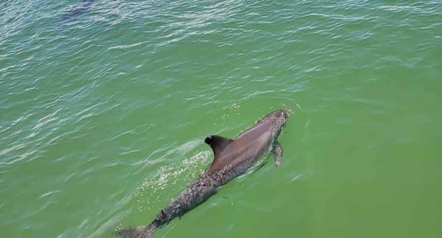 Fort-Myers-Beach-Sunset-Excursion