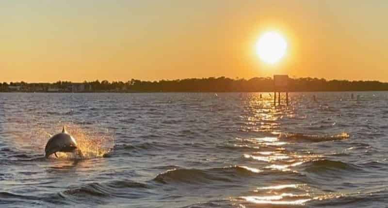 Destin-Tiki-Boat-Sunset-Cruise