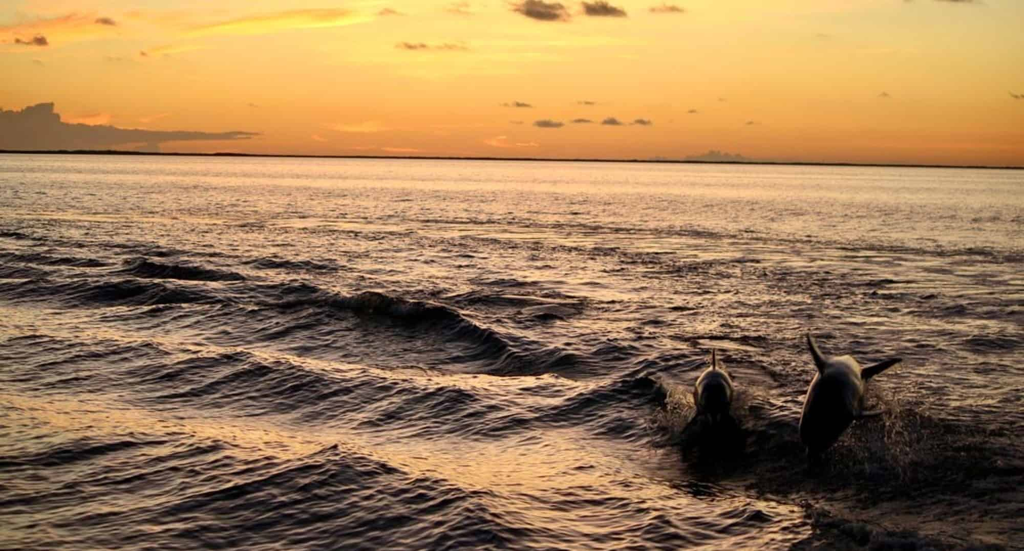 Key-Largo-Florida-Bay-Sunset-Cruise