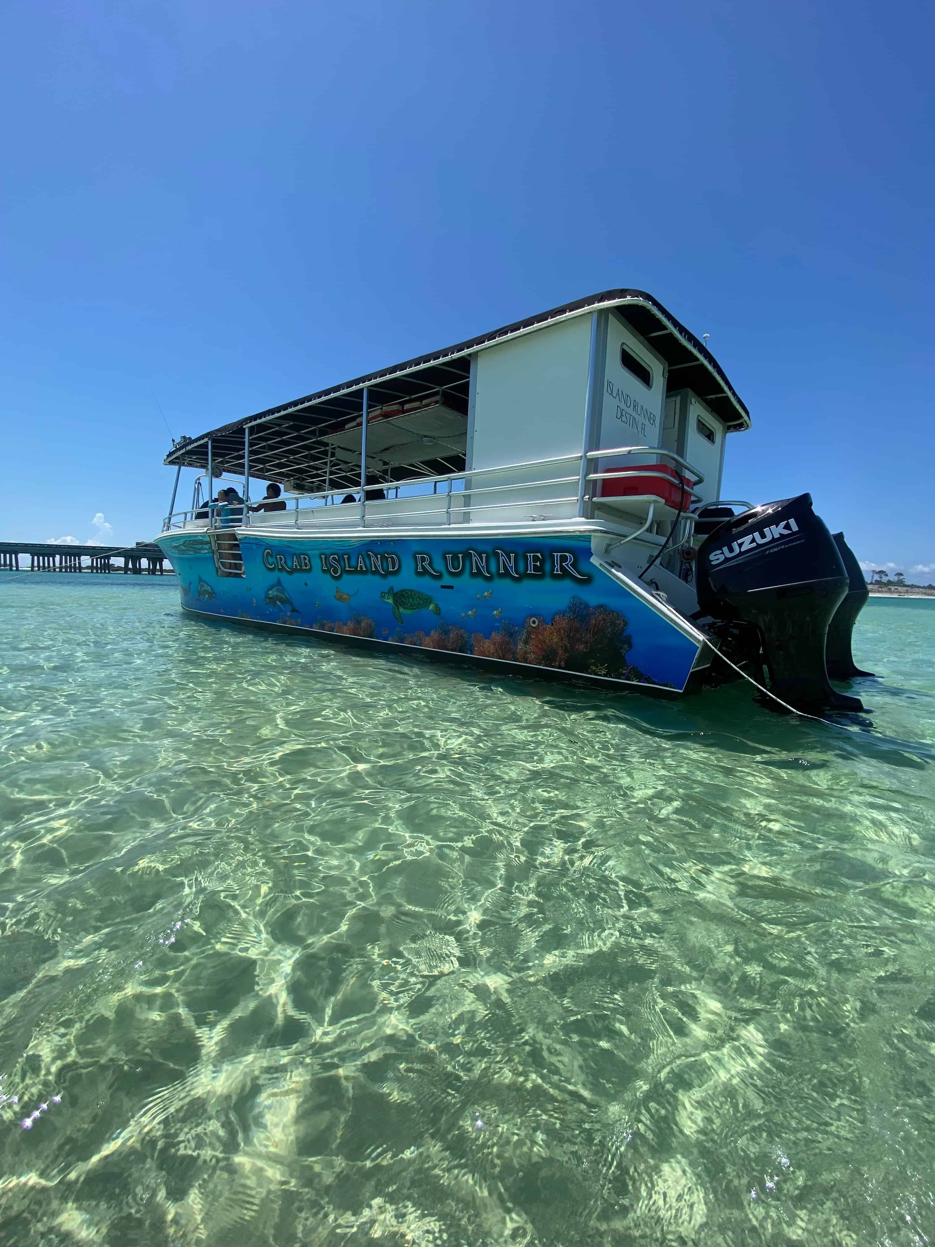 Dolphin-Exploration-Tour-Aboard-The-Crab-Island-Runner