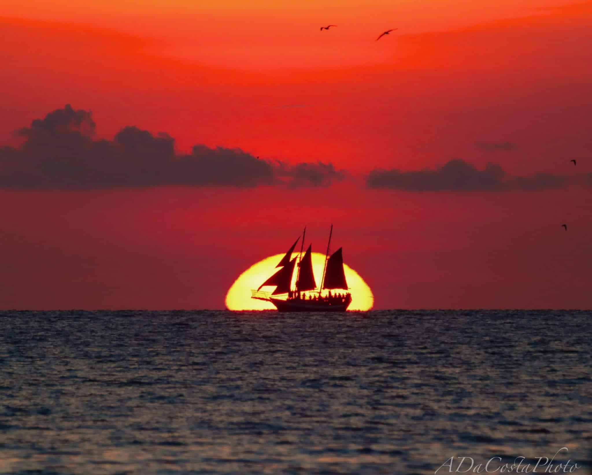 St-Petersburg-Private-Sunset-Sail-aboard-the-Schooner-Suncoast-Horizon