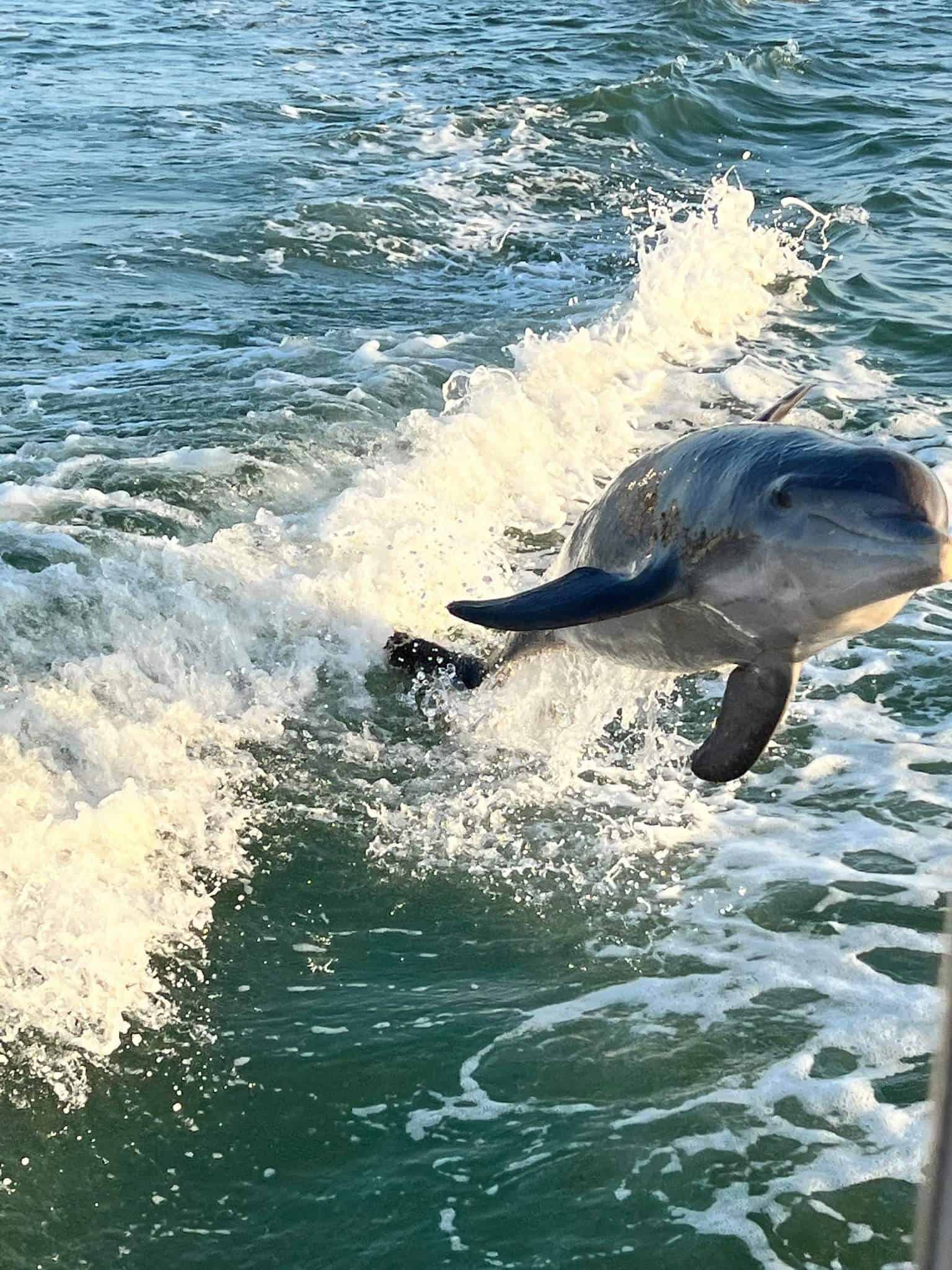 St-Petersburg-Johns-Pass-Sandbar-Deck-Boat-Experience
