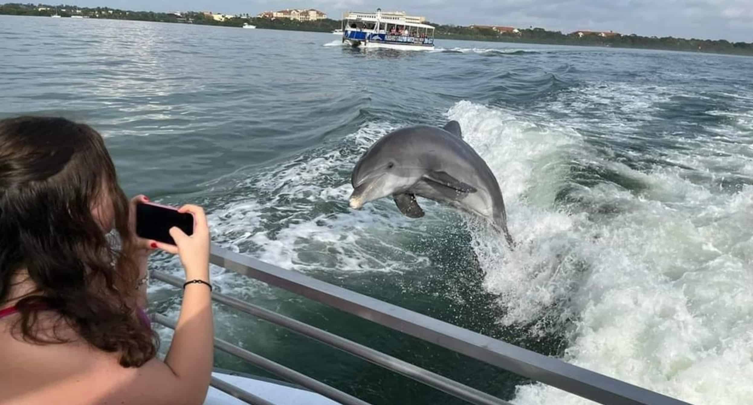 St-Petersburg-John-s-Pass-Sandbar-Private-Deck-Boat-Experience