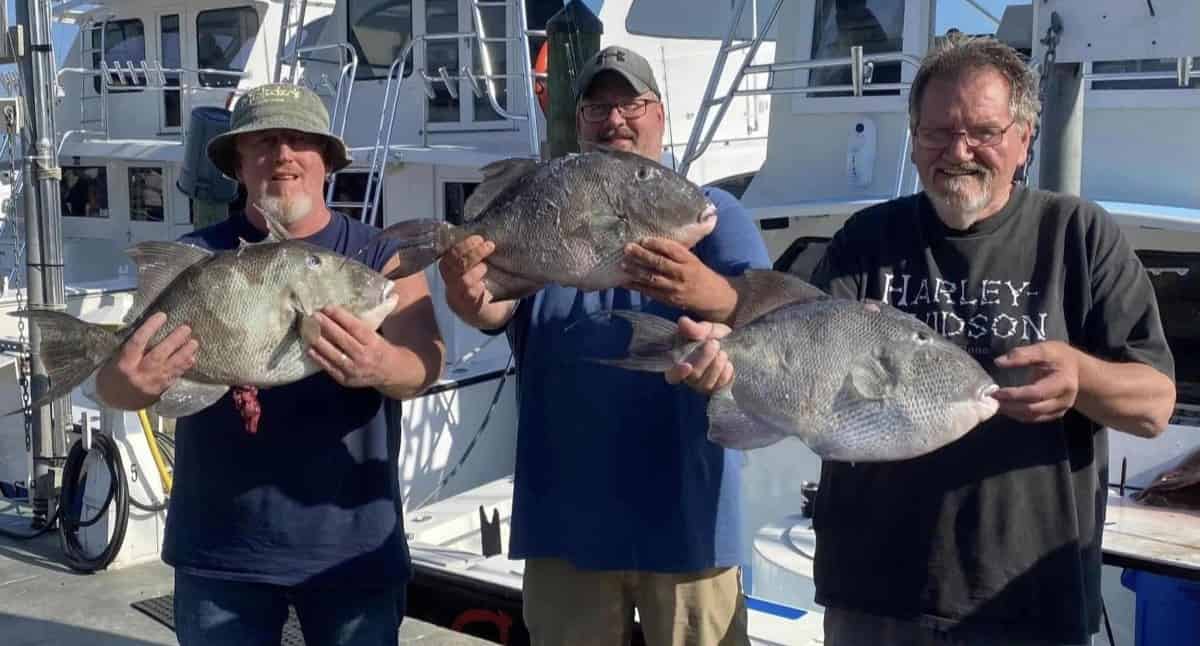 Destin-Private-Offshore-Fishing-Charter