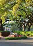 Oak Alley Plantation Tour From New Orleans by Grayline Tours