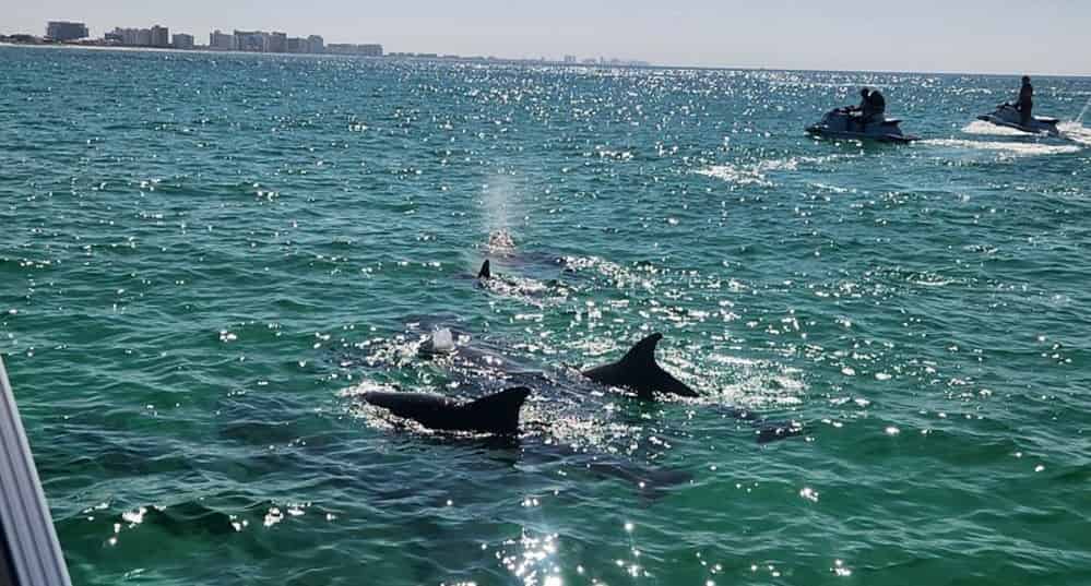 Destin-Crab-Island-Cruise-on-a-Bentley-Tritoon-with-Captain-and-Water-Toys