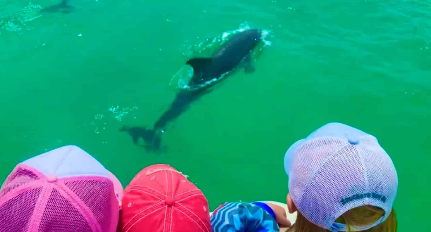 Destin-Crab-Island-Cruise-on-a-Bentley-Tritoon-with-Captain-and-Water-Toys