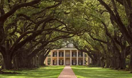 Laura or Oak Alley Plantation Admission & Guided Tour with Transportation From New Orleans Area Hotels