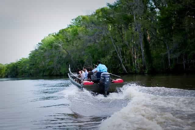 Honey-Island-Swamp-Tour-With-Optional-Transportation-By-Cajun-Encounters