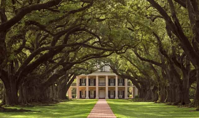Oak-Alley-and-Laura-Plantation-Combo-Tour-From-New-Orleans