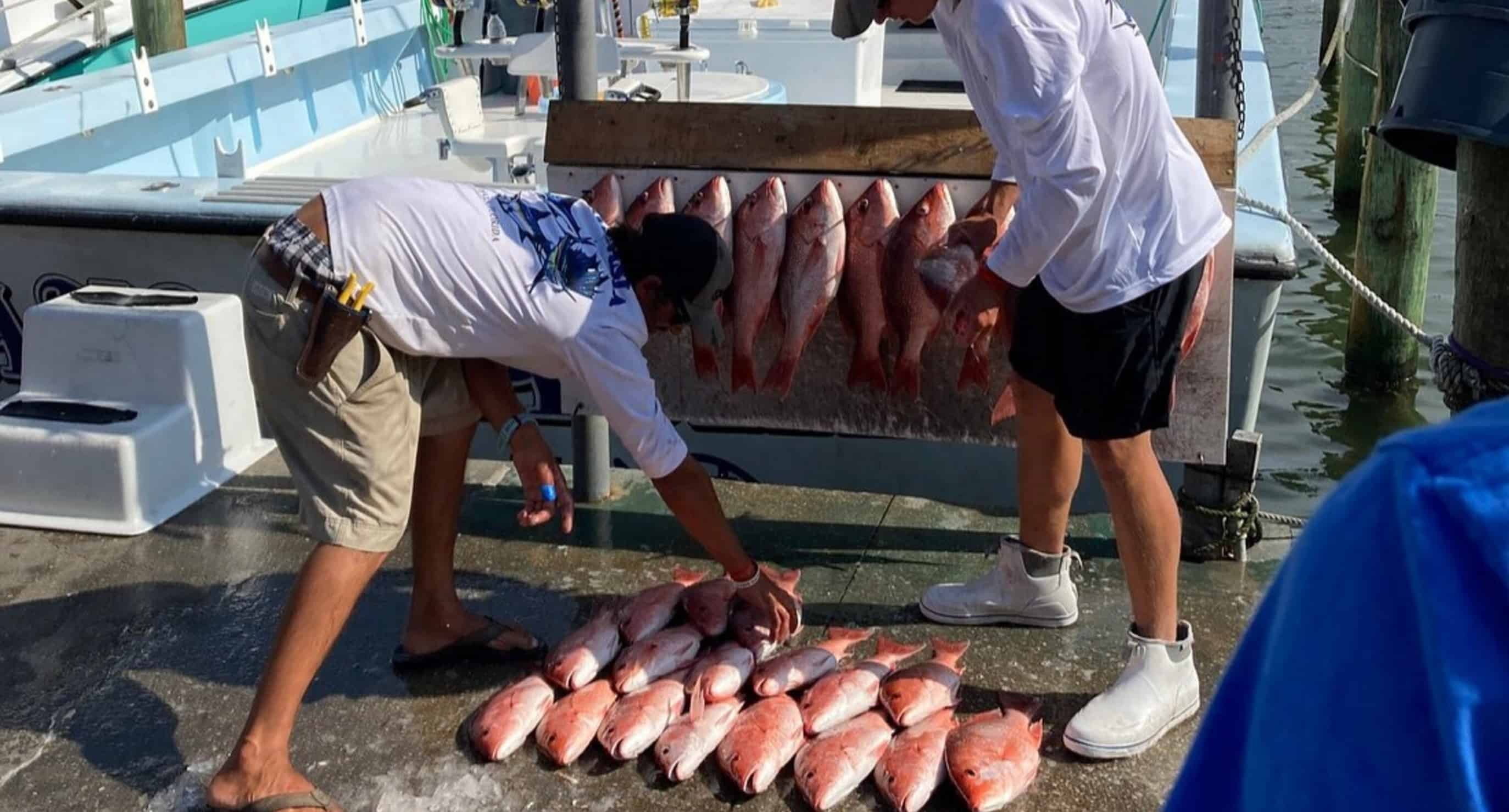 Destin-8-Hour-Gulf-Fishing-Charter-aboard-the-Anastasia