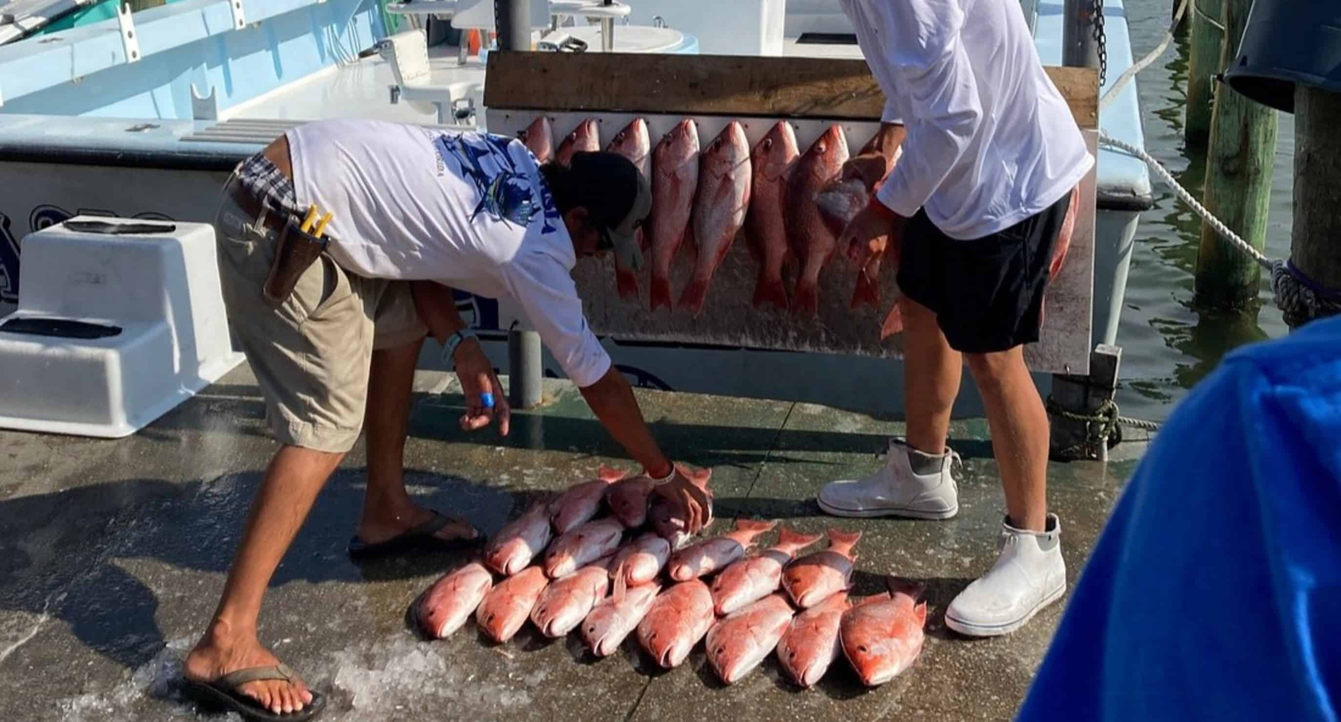 Destin-12-Hour-Gulf-Fishing-Charter-aboard-the-Anastasia