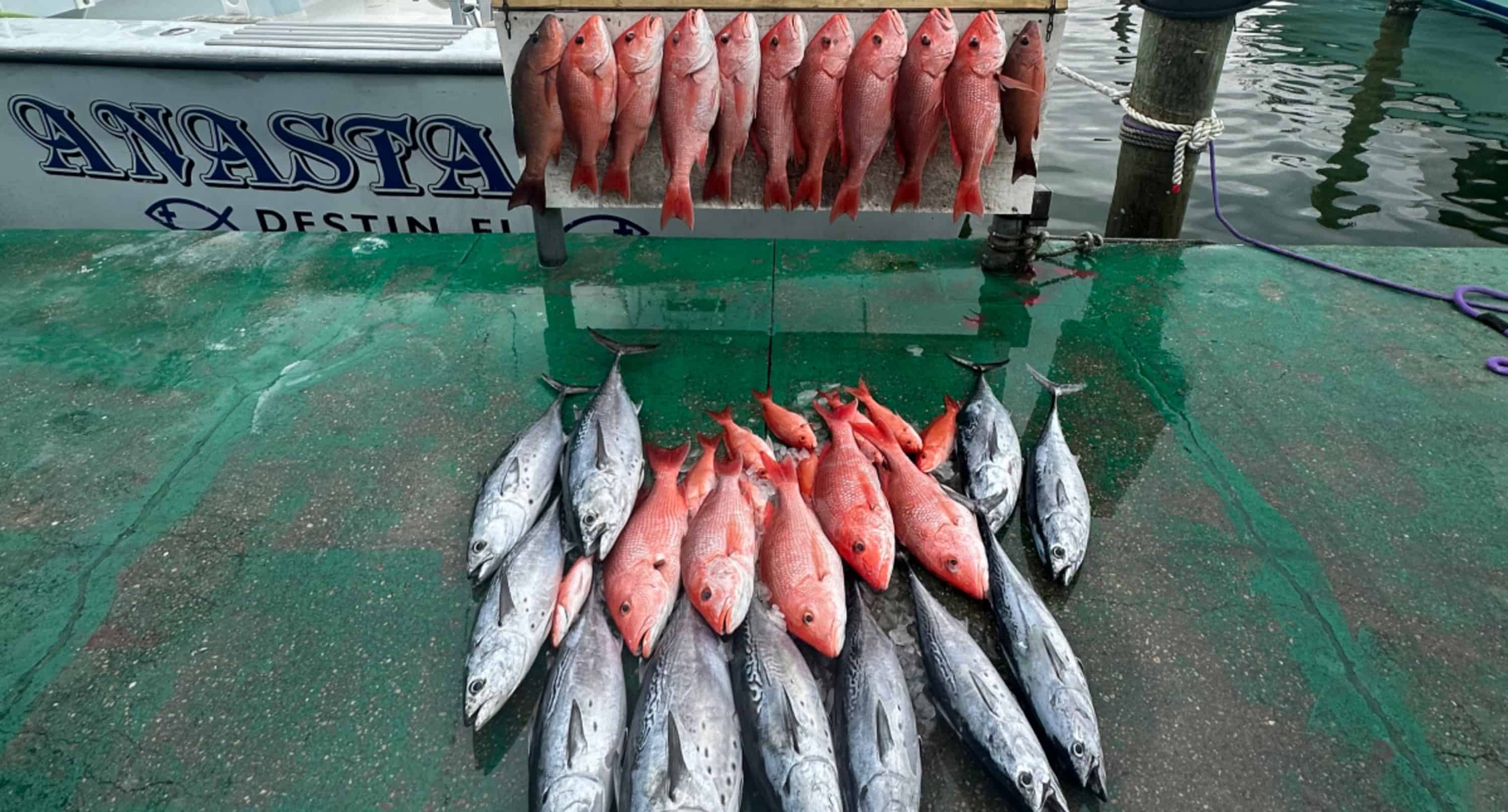 Destin-12-Hour-Gulf-Fishing-Charter-aboard-the-Anastasia