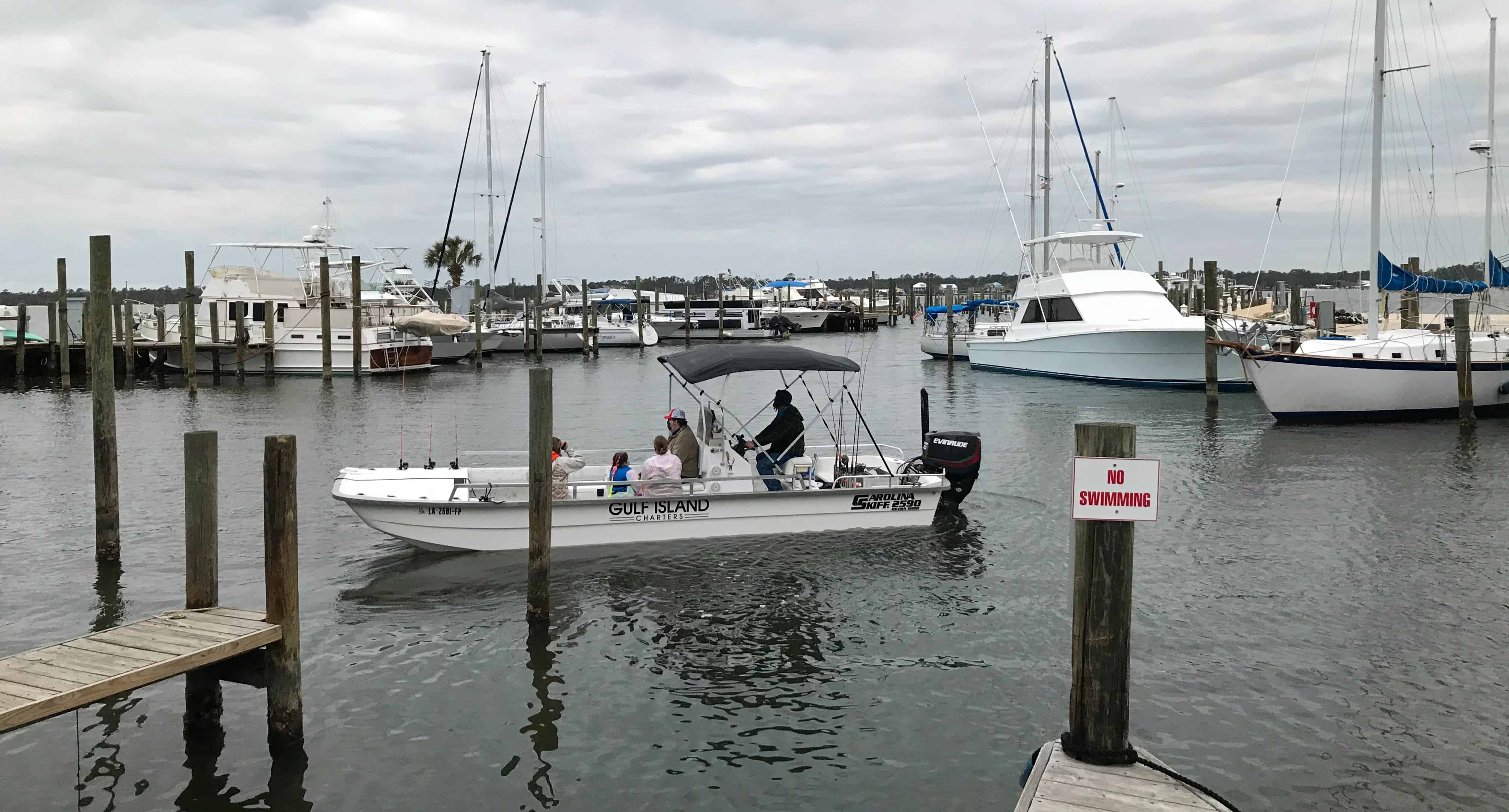 Orange-Beach-Shared-Small-Group-Dolphin-Boat-Cruise