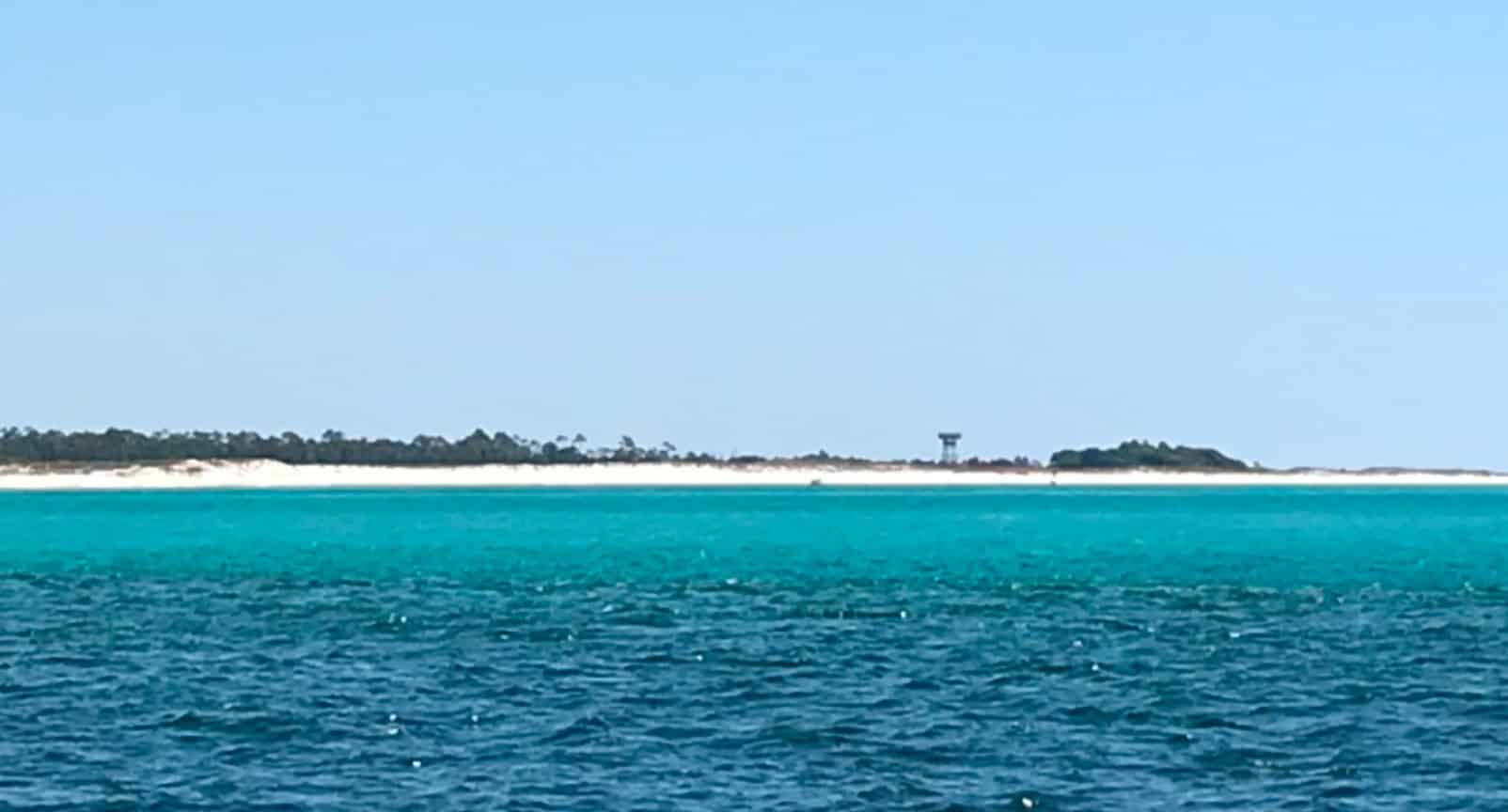 Orange-Beach-Shared-Small-Group-Dolphin-Boat-Cruise
