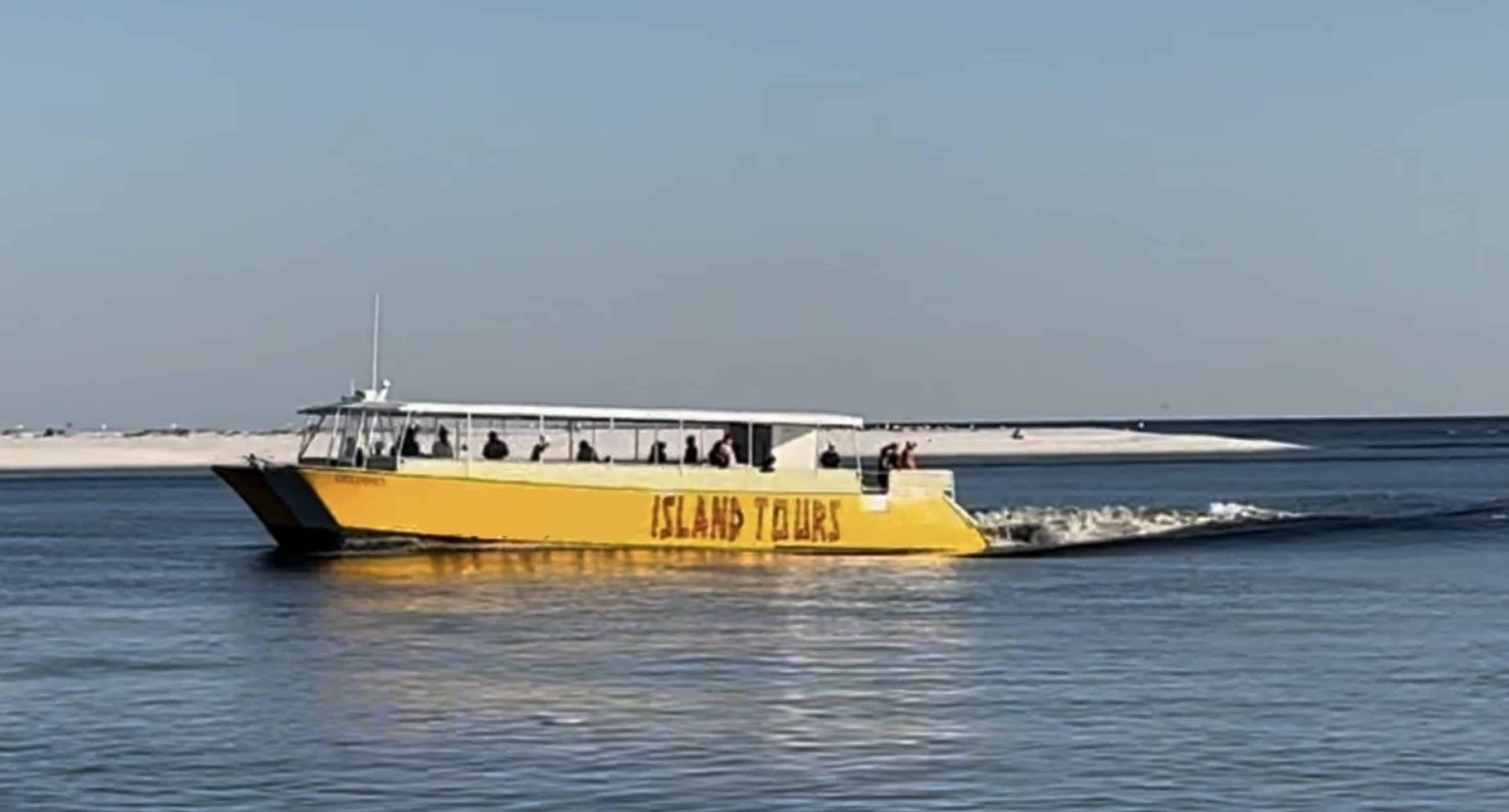Orange-Beach-Family-Friendly-Dolphin-Cruise