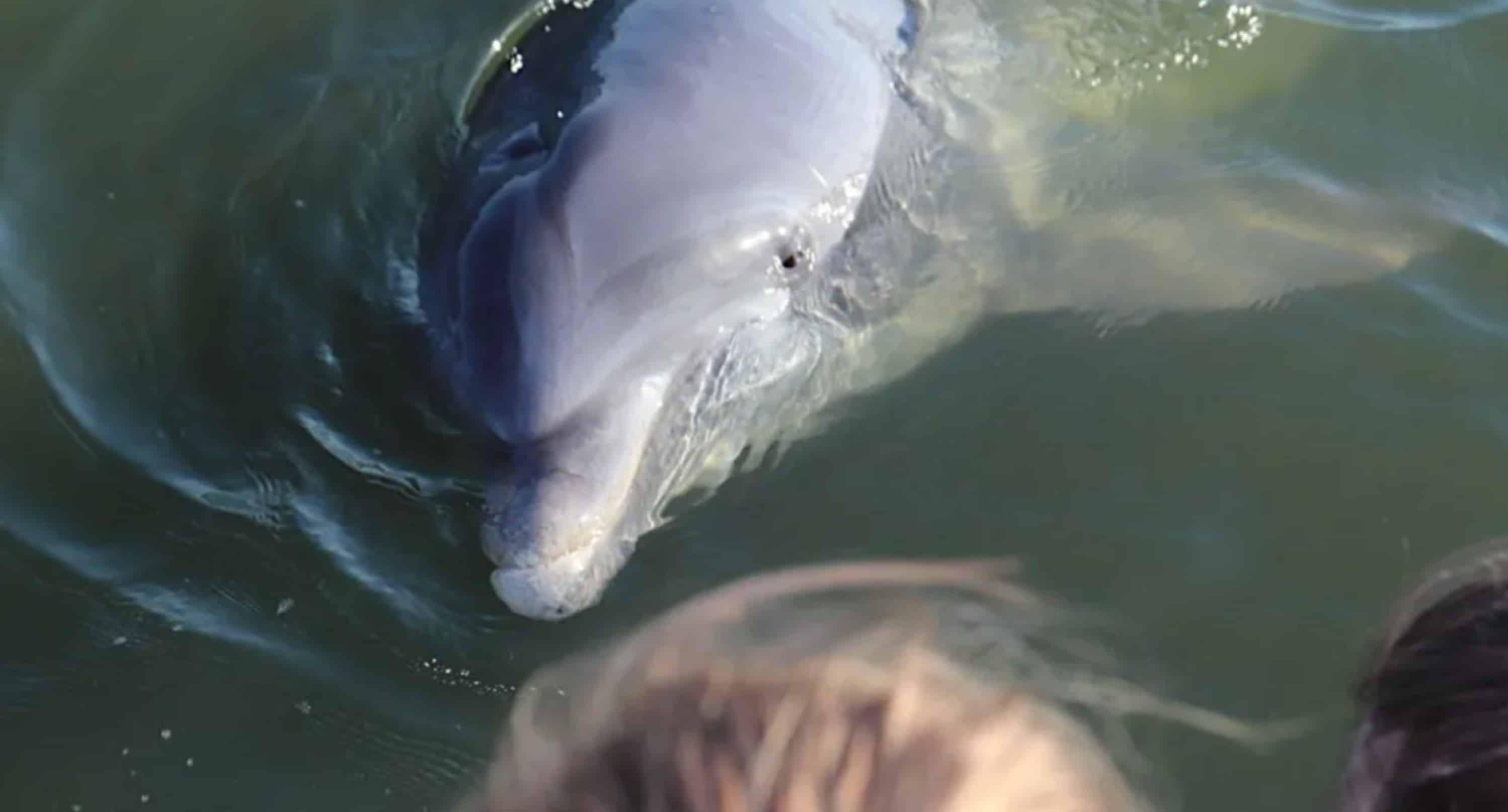 Hilton-Head-Private-Charter-Aboard-The-SS-Pelican