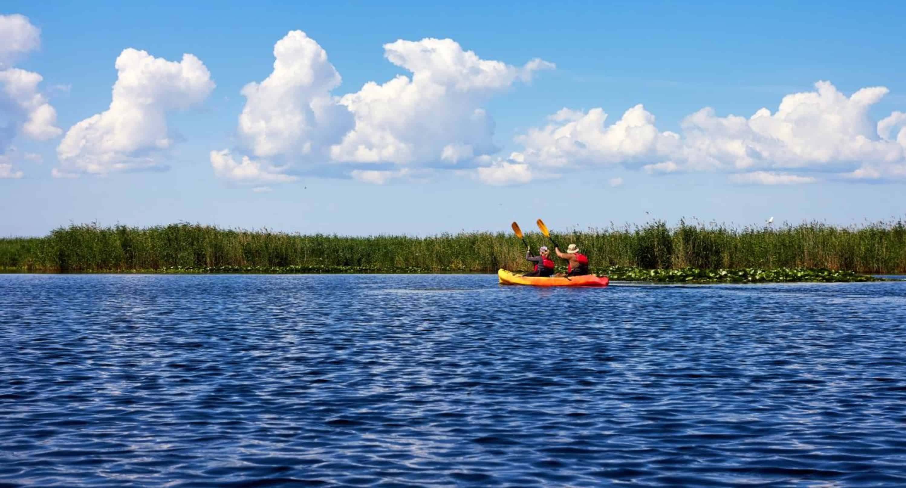 St-Augustine-Wildlife-Adventure-Boat-Cruise-and-Kayak-Tour