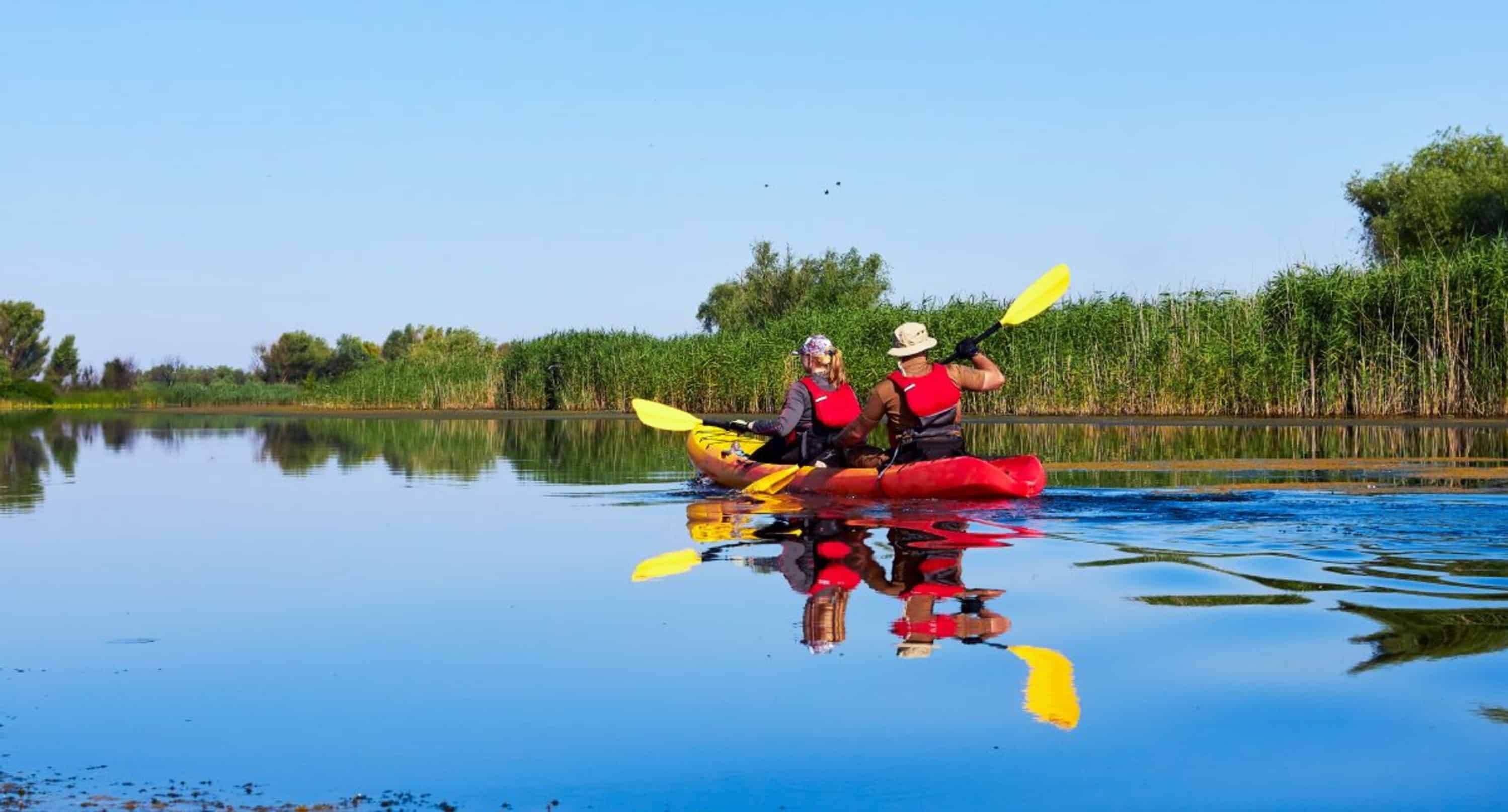 St-Augustine-Wildlife-Adventure-Boat-Cruise-and-Kayak-Tour