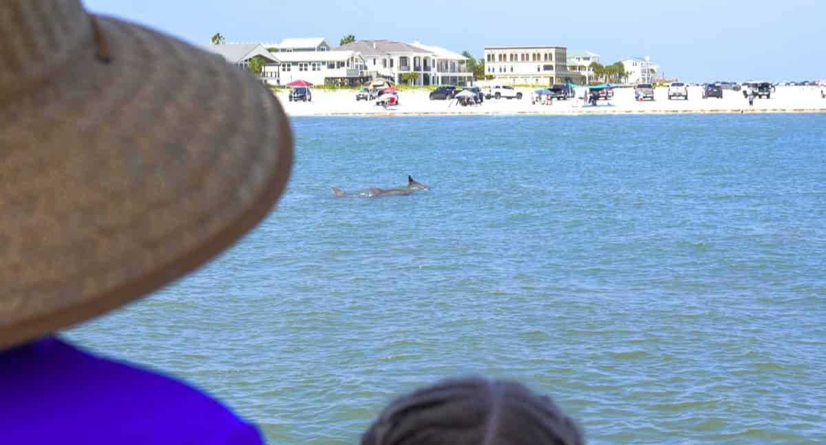 St-Augustine-Wildlife-Adventure-Boat-Cruise-and-Kayak-Tour
