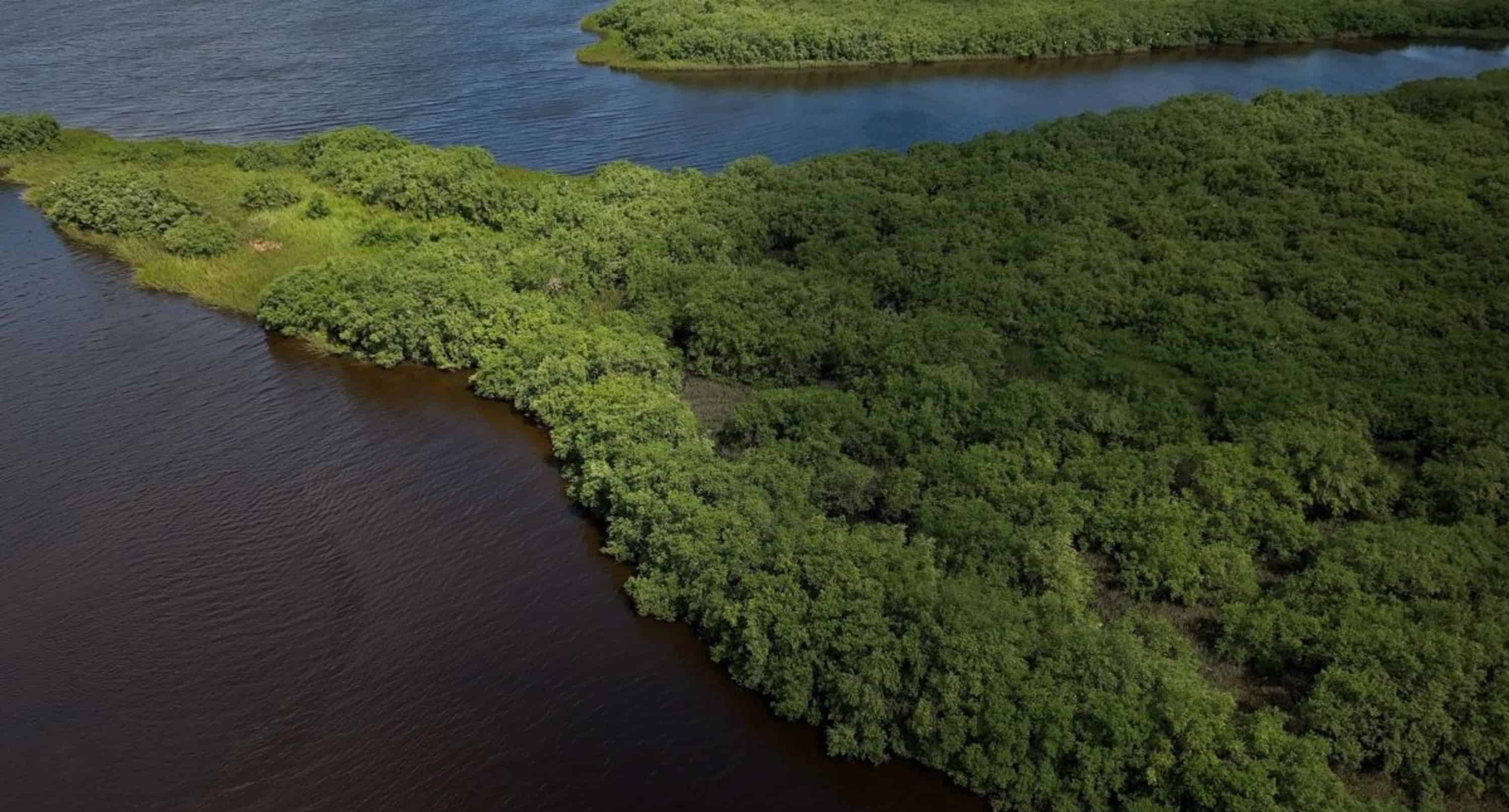St-Augustine-Wildlife-Adventure-Boat-Cruise-and-Kayak-Tour