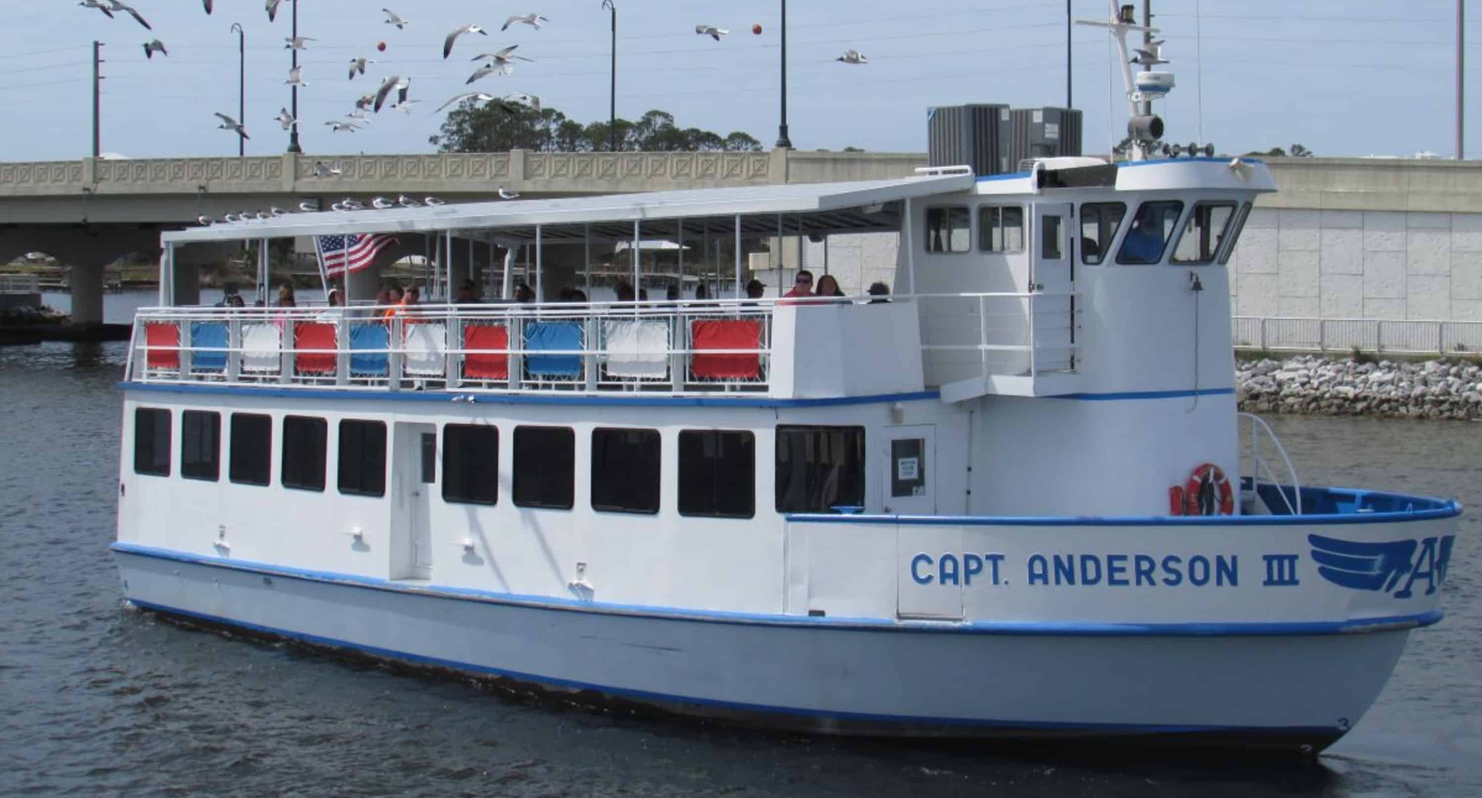Panama-City-Beach-Morning-Dolphin-Encounter-Cruise-Aboard-The-Captain-Anderson-III