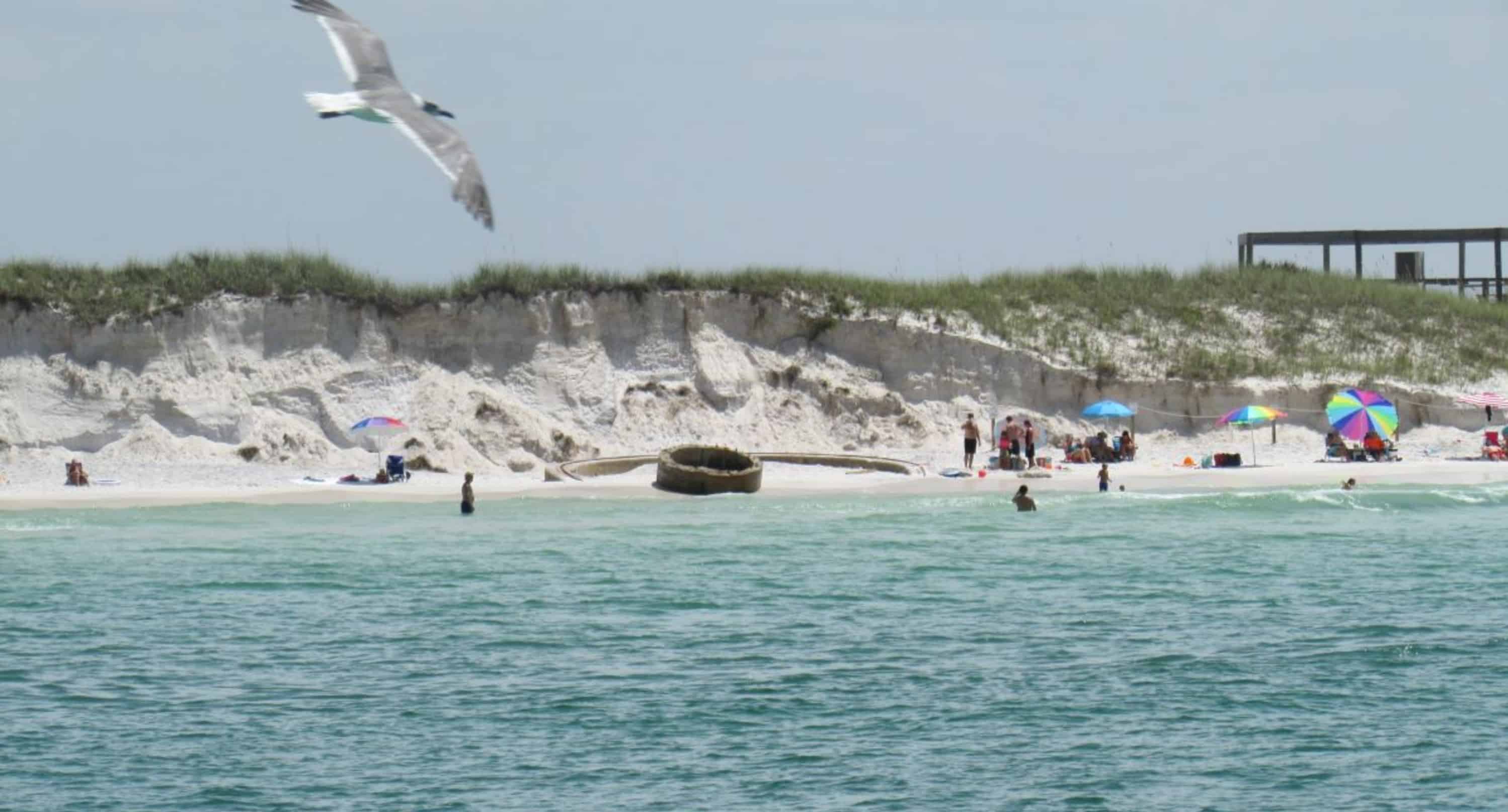 Panama-City-Beach-Morning-Dolphin-Encounter-Cruise-Aboard-The-Captain-Anderson-III