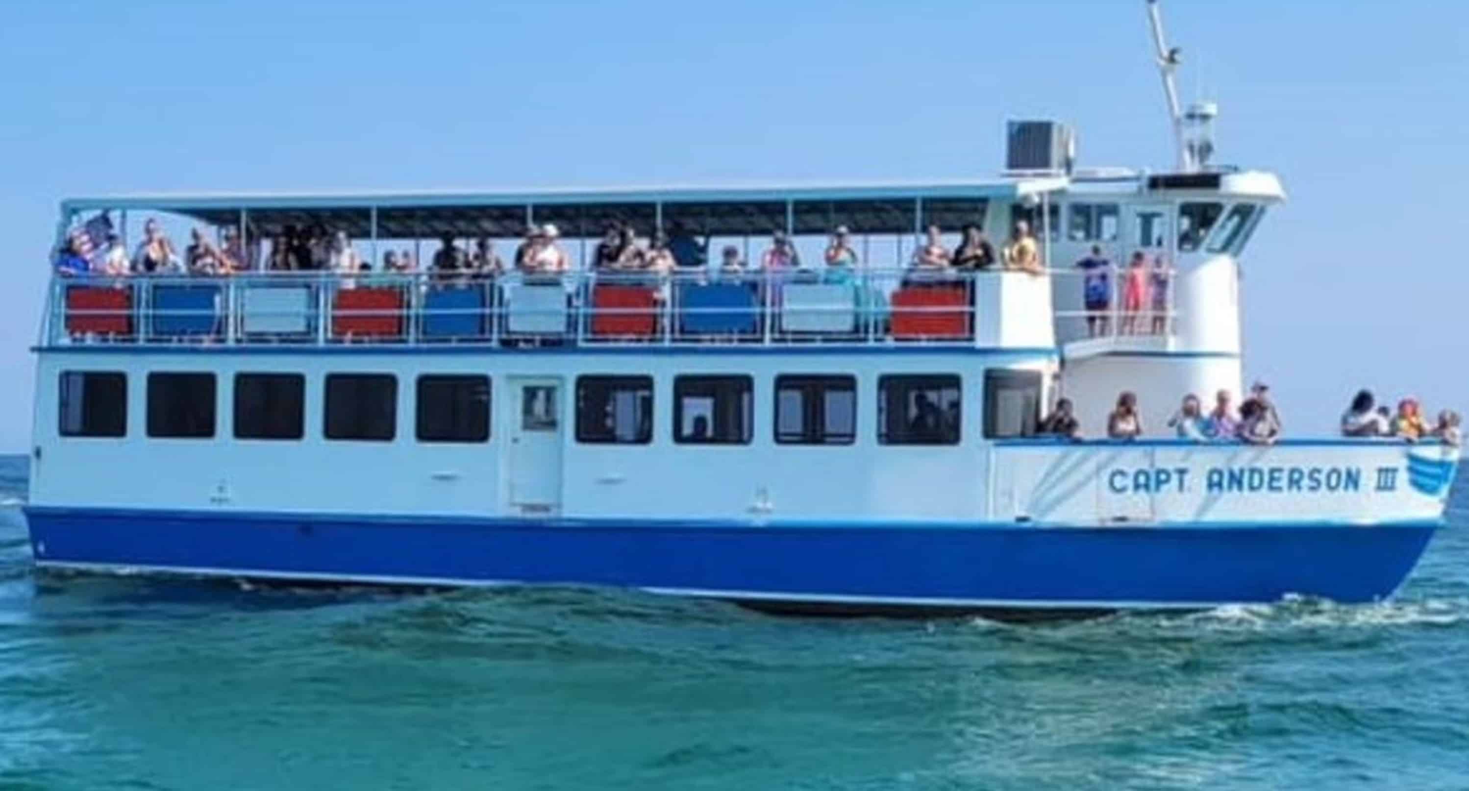 Panama-City-Beach-Morning-Dolphin-Encounter-Cruise-Aboard-The-Captain-Anderson-III