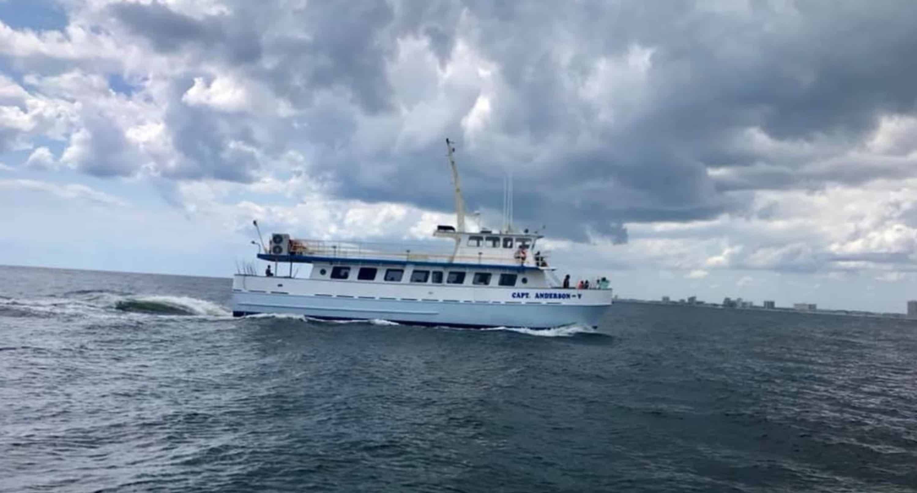 Panama-City-Beach-Early-Bird-Shell-Island-Cruise-With-Dolphin-Encounter