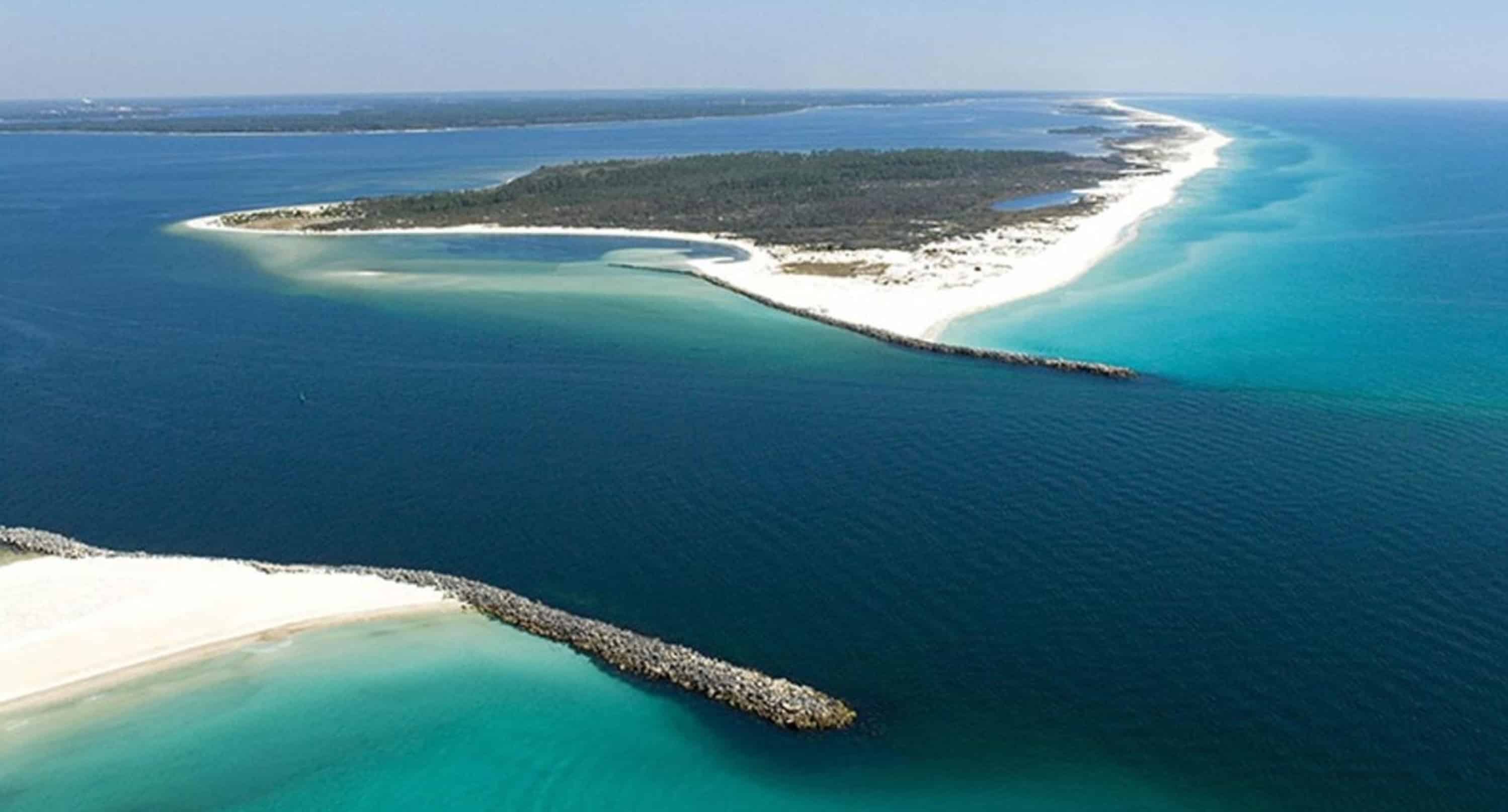 Panama-City-Beach-Early-Bird-Shell-Island-Cruise-With-Dolphin-Encounter