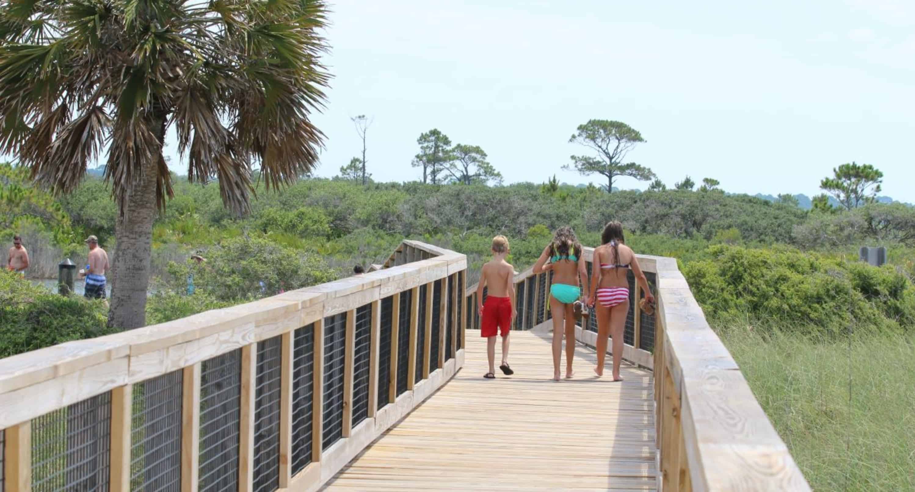 Panama-City-Beach-Early-Bird-Shell-Island-Cruise-With-Dolphin-Encounter