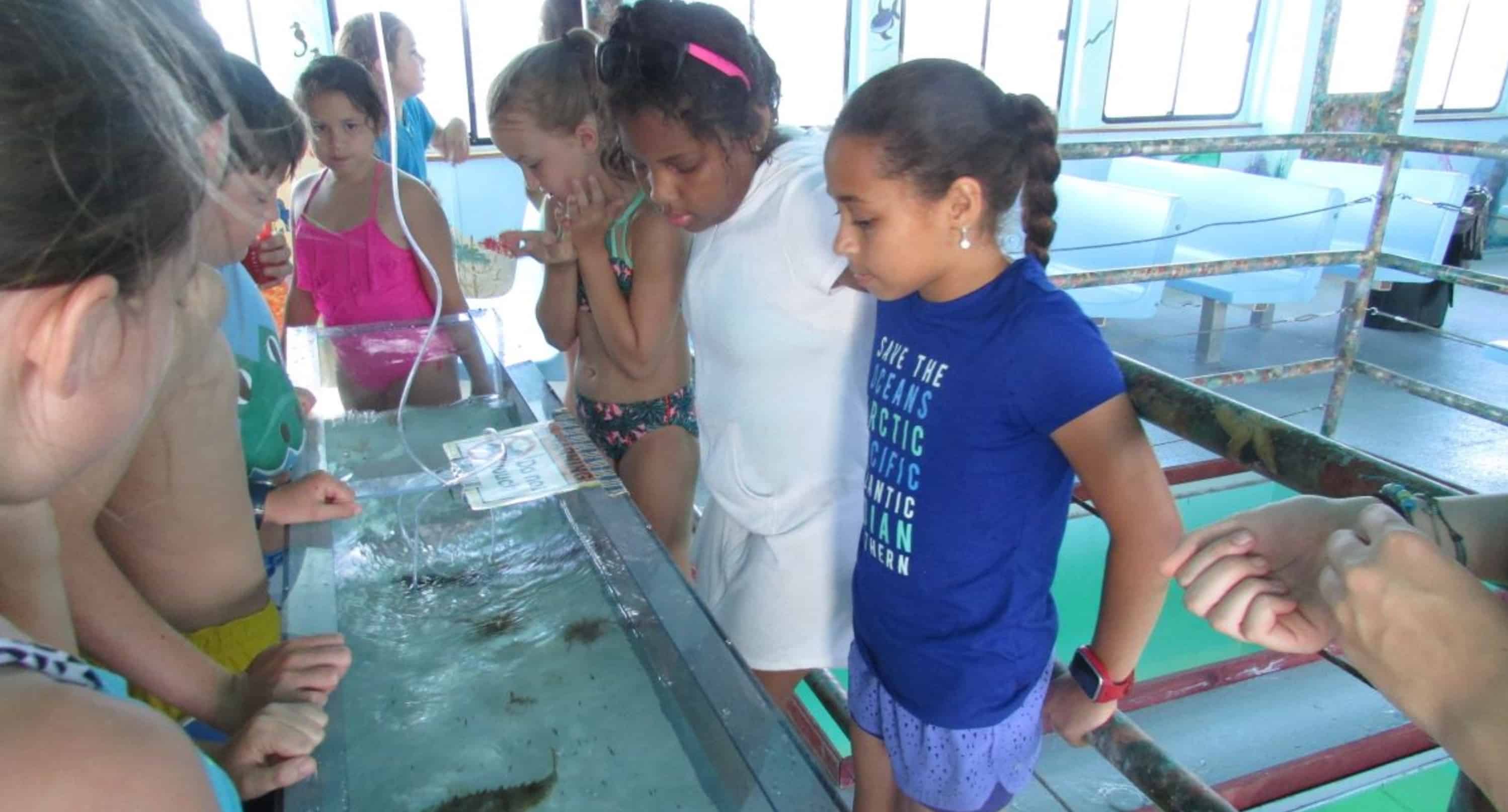 Panama-City-Beach-Early-Bird-Shell-Island-Cruise-With-Dolphin-Encounter