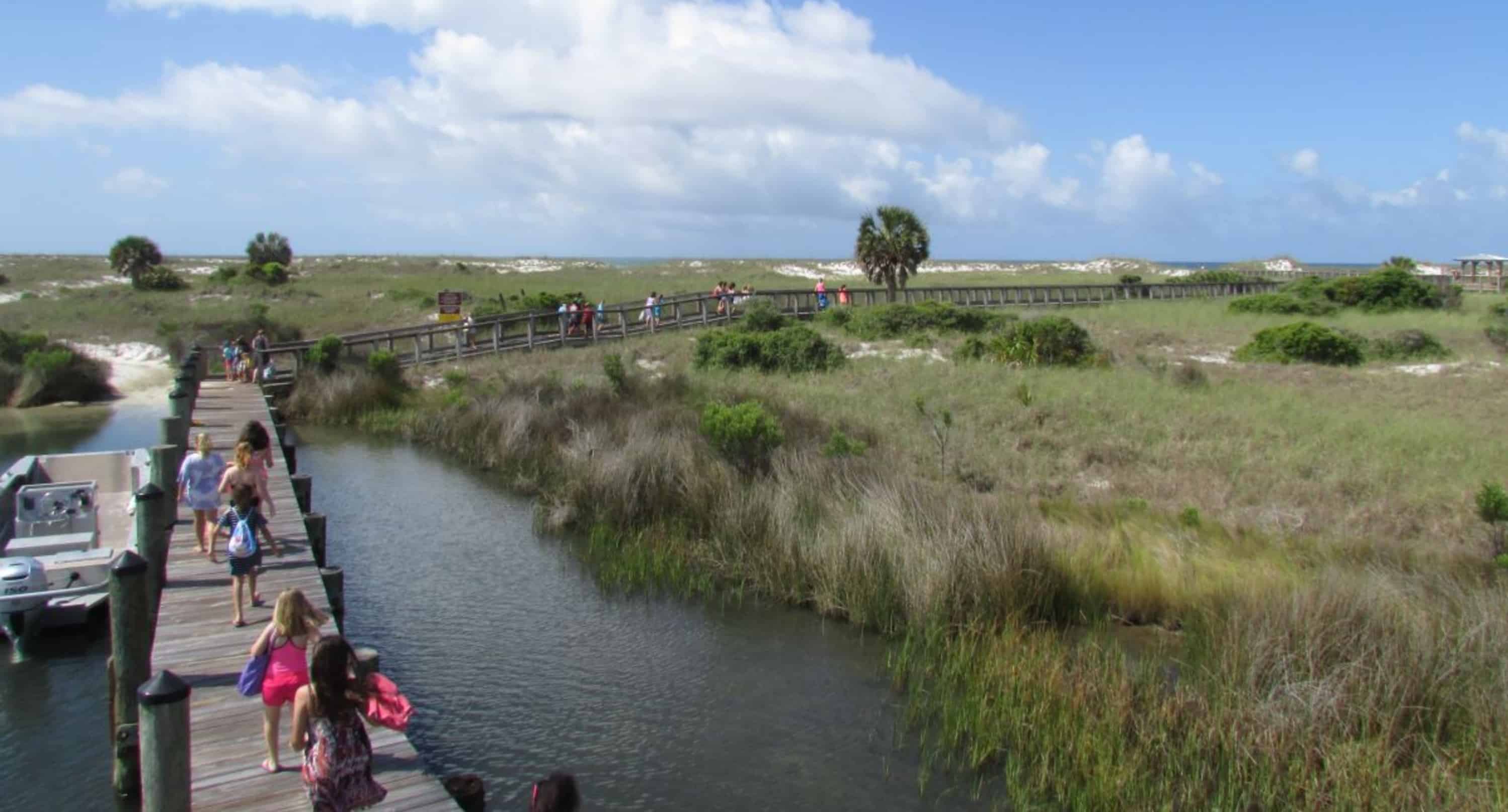 Panama-City-Beach-Early-Bird-Shell-Island-Cruise-With-Dolphin-Encounter