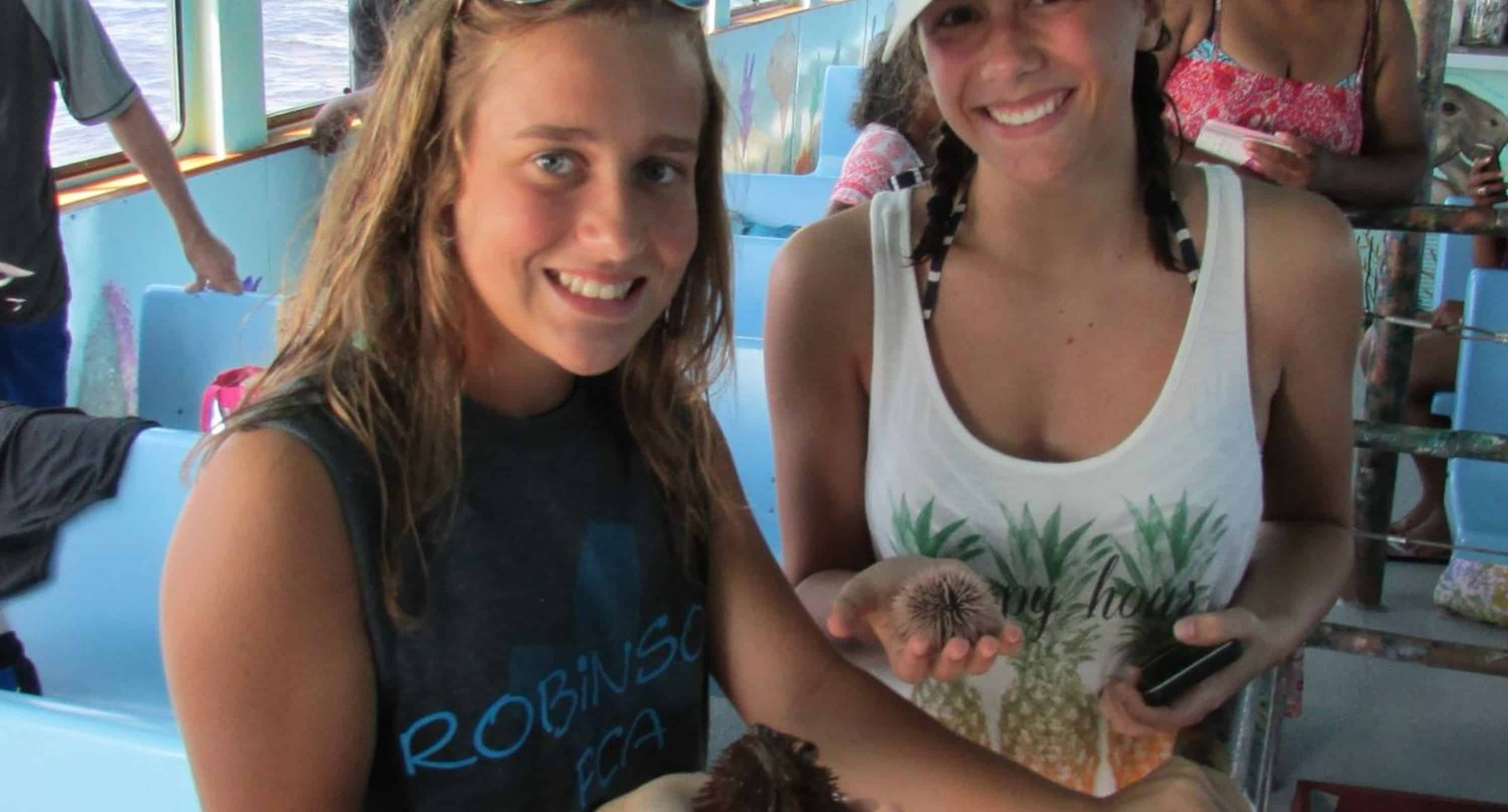 Panama-City-Beach-Early-Bird-Shell-Island-Cruise-With-Dolphin-Encounter