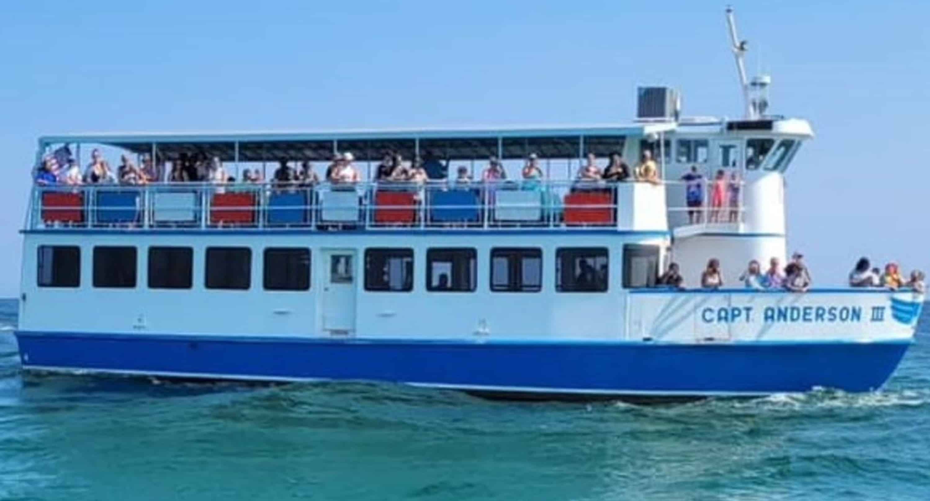 Panama-City-Beach-Early-Bird-Shell-Island-Cruise-With-Dolphin-Encounter