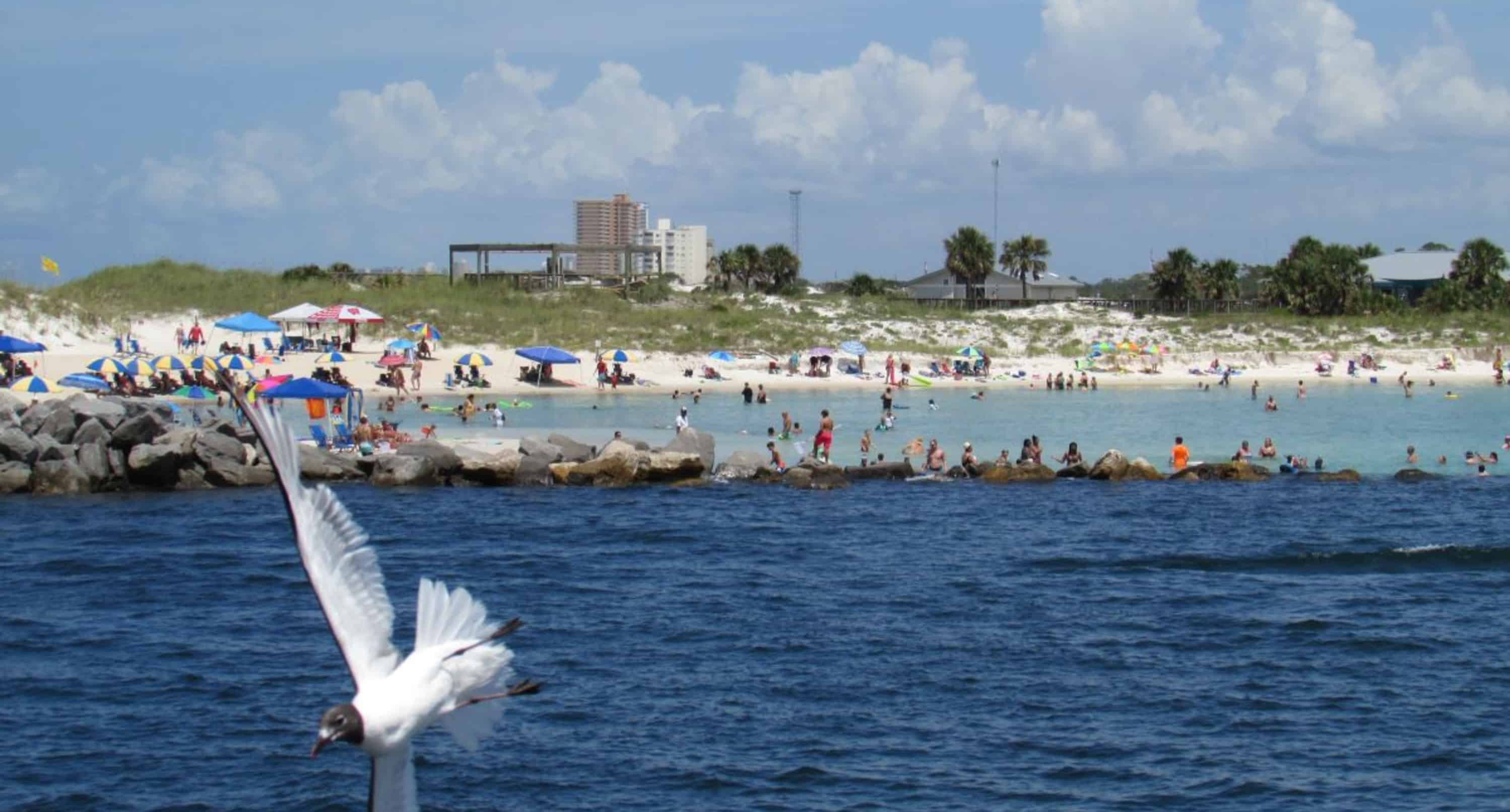 Panama-City-Beach-Early-Bird-Shell-Island-Cruise-With-Dolphin-Encounter