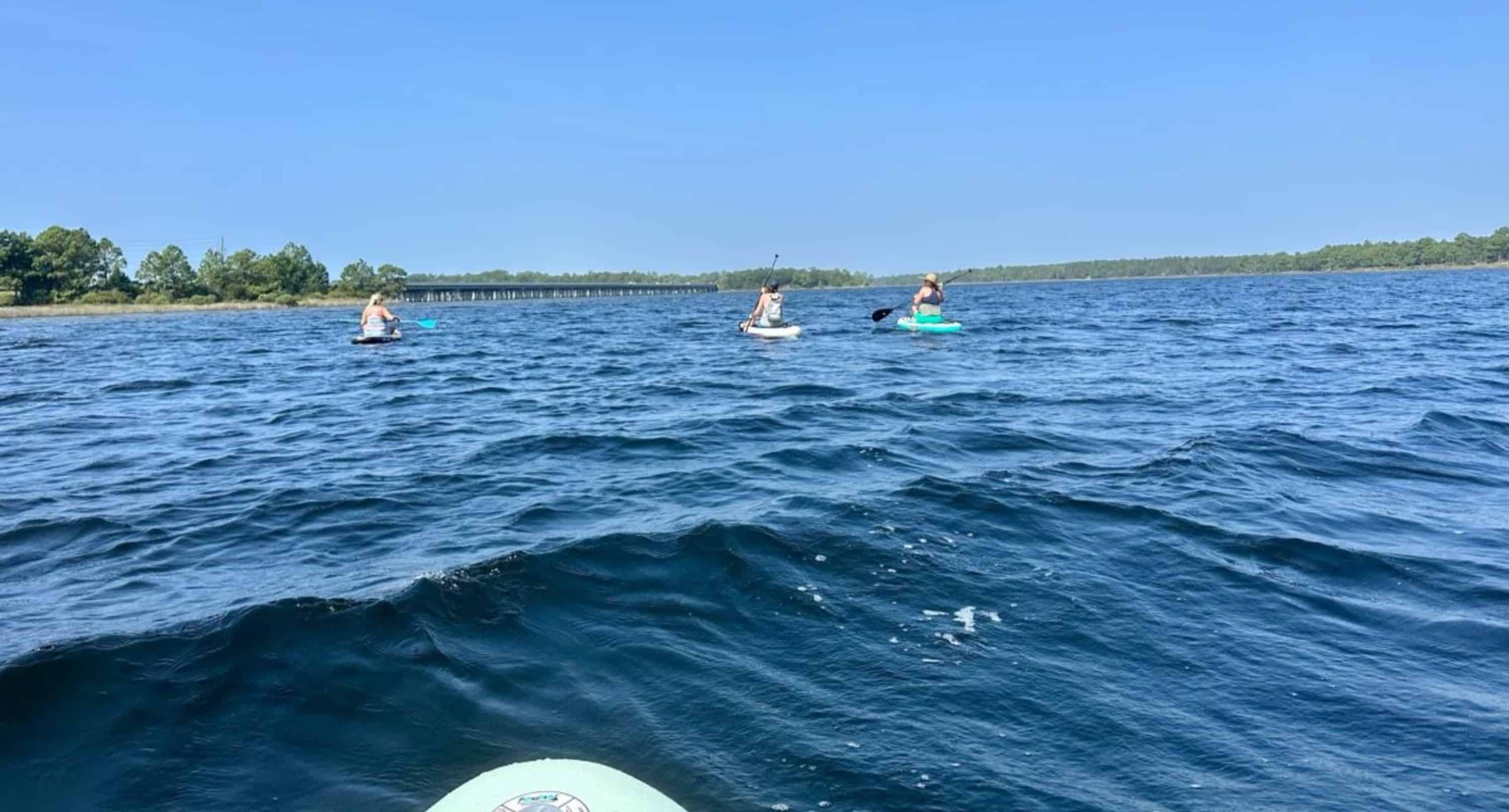 Panama-City-Beach-Lake-Powell-Stand-Up-Paddleboard-Eco-Tour