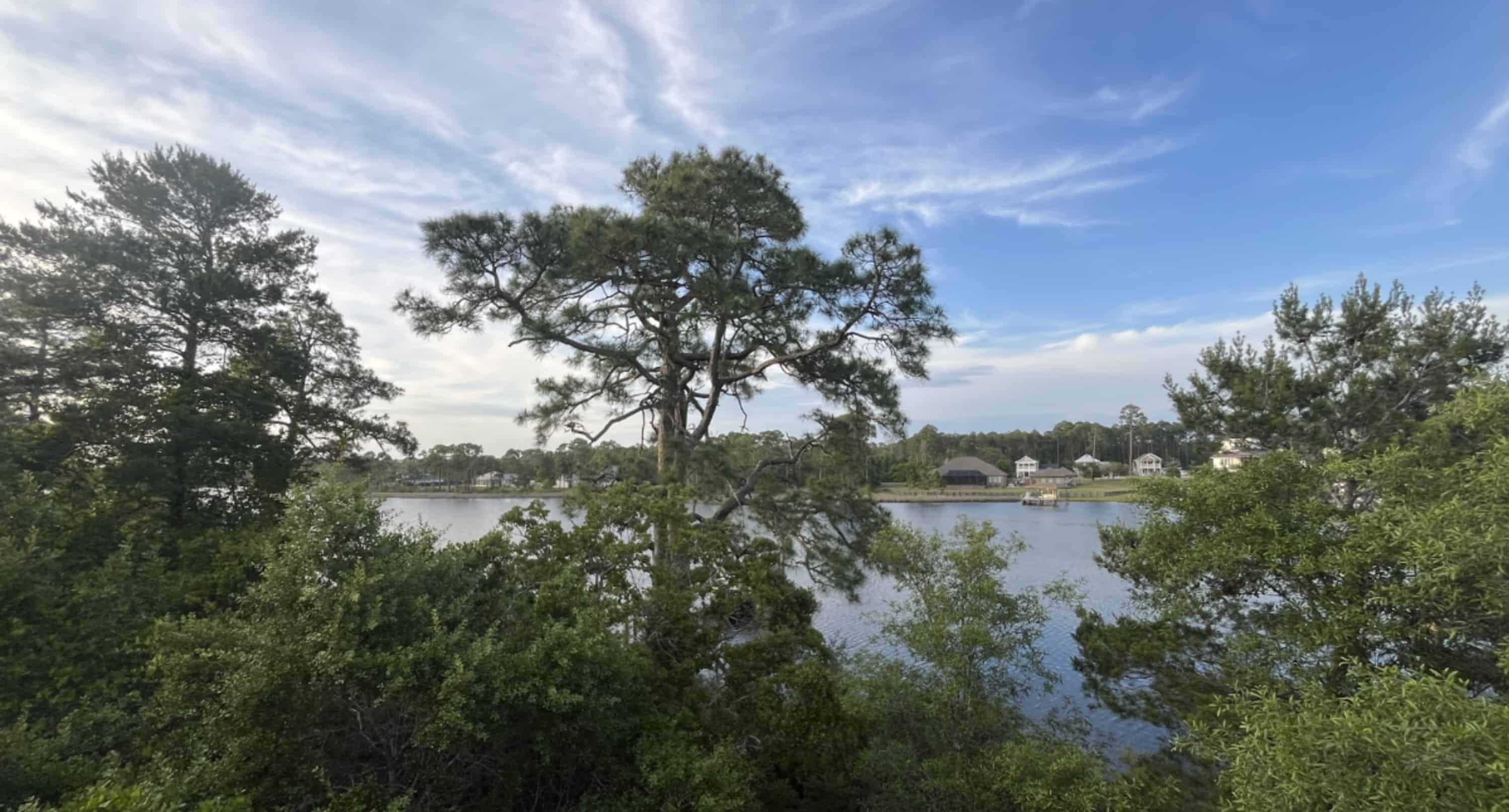 Panama-City-Beach-Lake-Powell-Stand-Up-Paddleboard-Eco-Tour