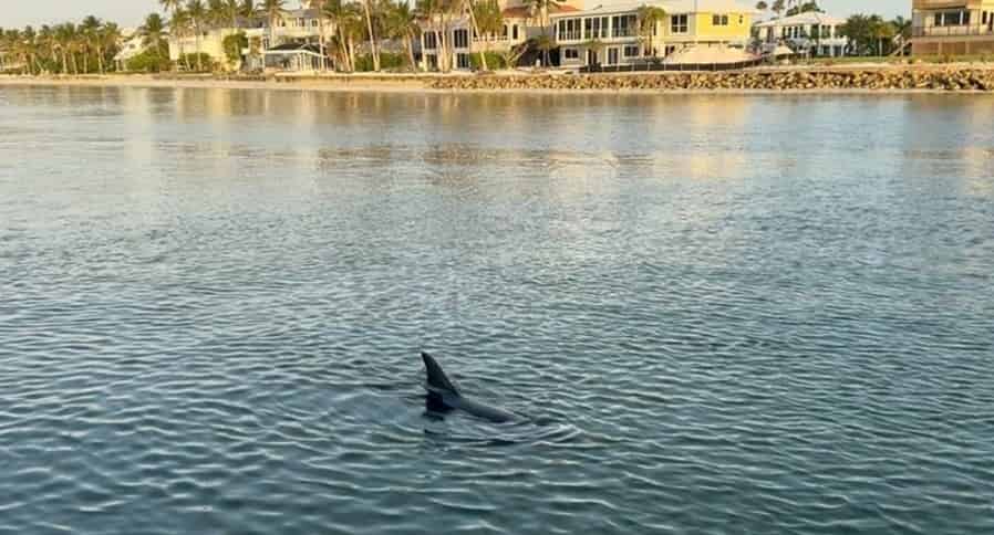 Fort-Myers-Beach-Sunset-Tiki-Boat-Cruise