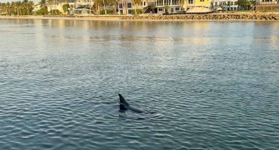 Fort-Myers-Beach-Daytime-Tiki-Boat-Cruise