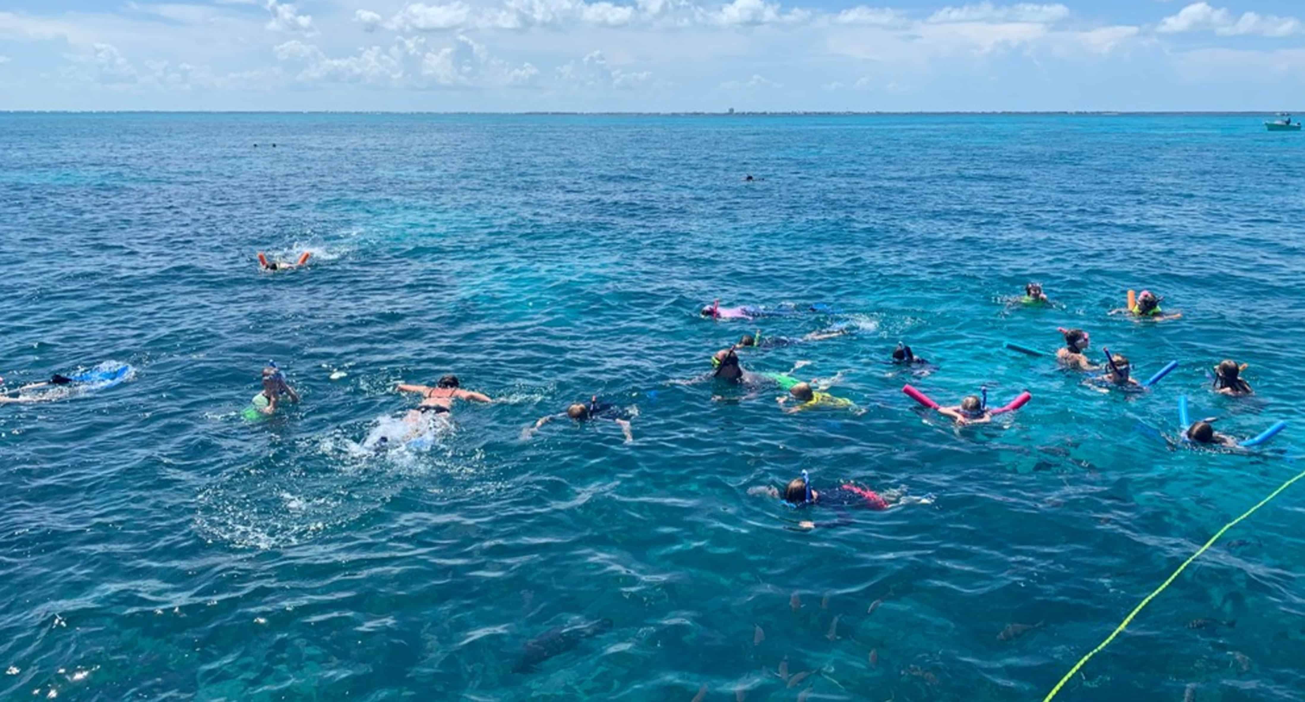 Key-West-Coffins-Patch-Snorkel-And-Valhalla-Sandbar-Swim