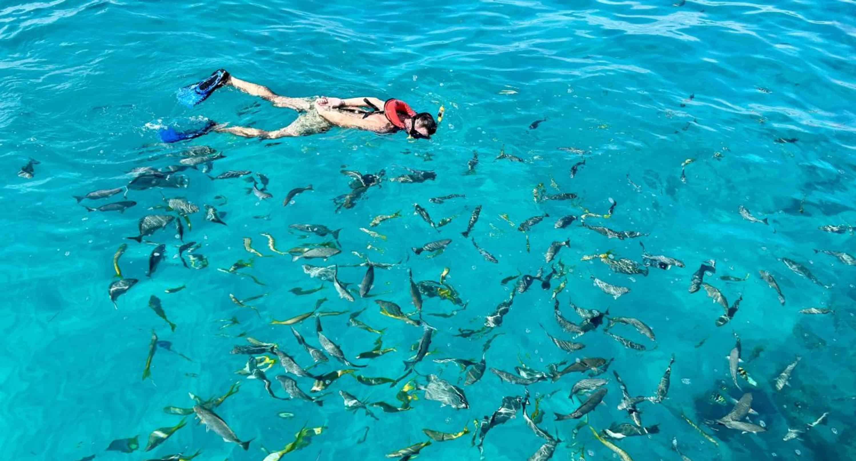Key-West-Coffins-Patch-Snorkel-And-Valhalla-Sandbar-Swim