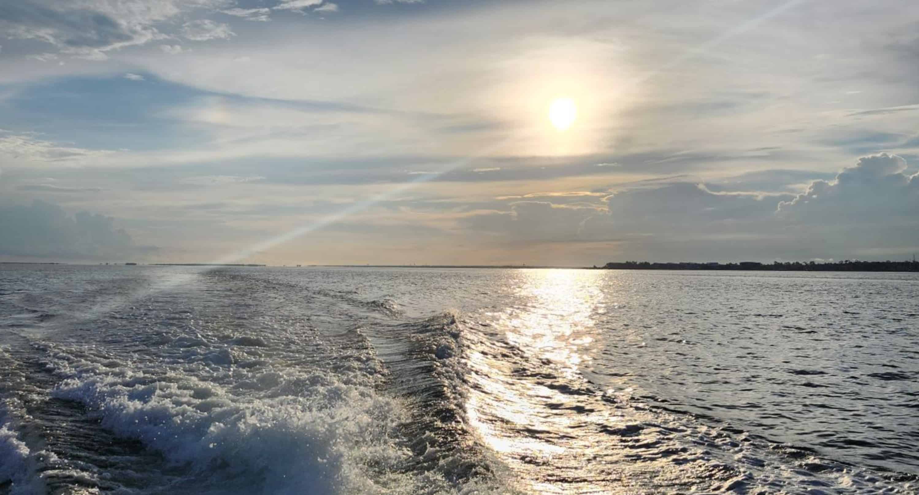 Pensacola-Beach-Dolphin-Cruise-Aboard-The-Island-Queen