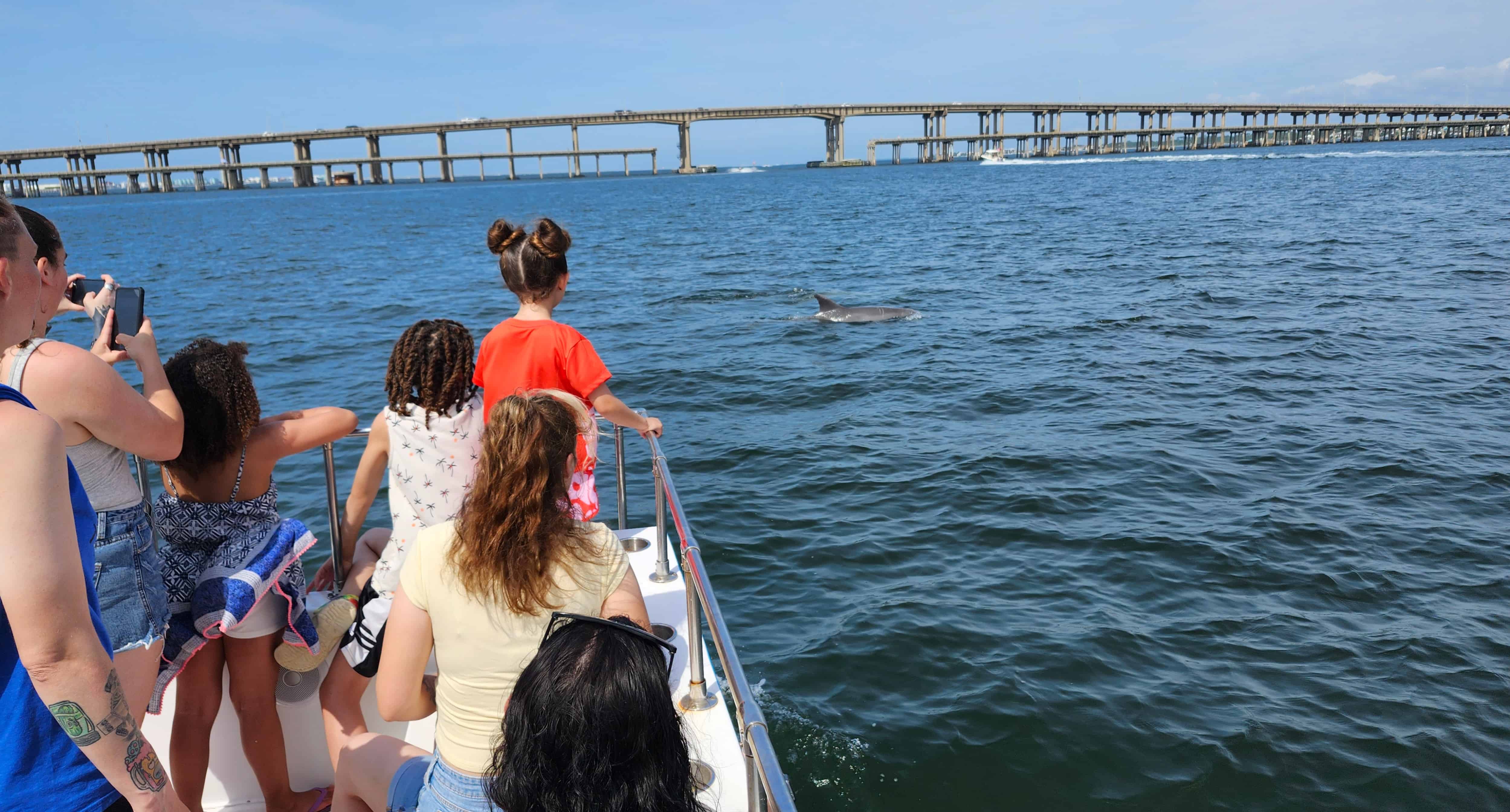 Pensacola-Beach-Dolphin-Cruise-Aboard-The-Island-Queen