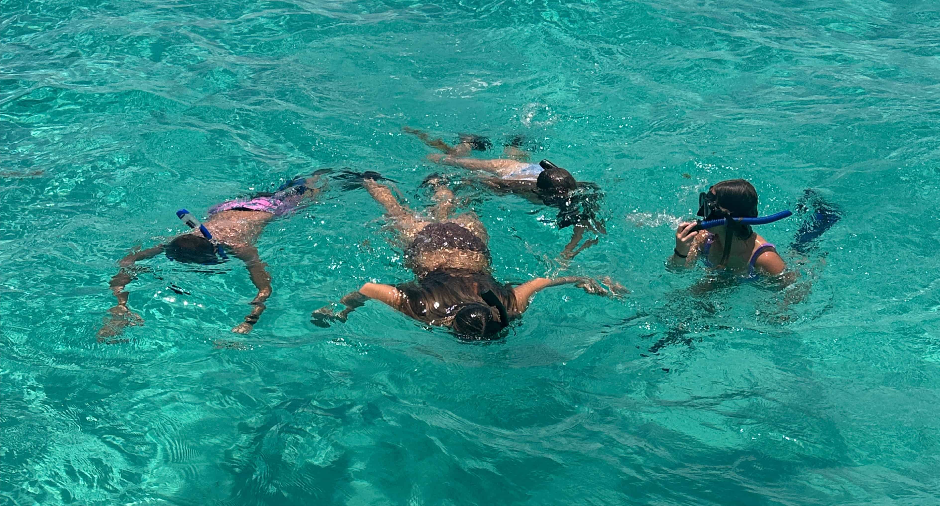 Islamorada-Private-Snorkeling-and-Sandbar-Experience