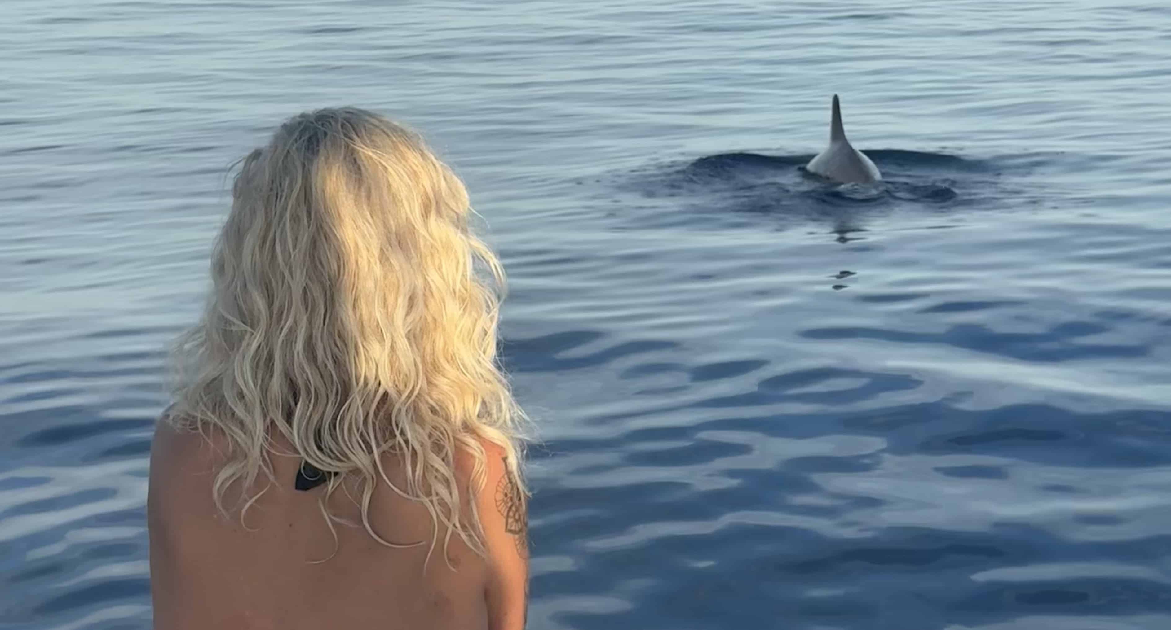 Islamorada-Private-Snorkeling-and-Sandbar-Experience