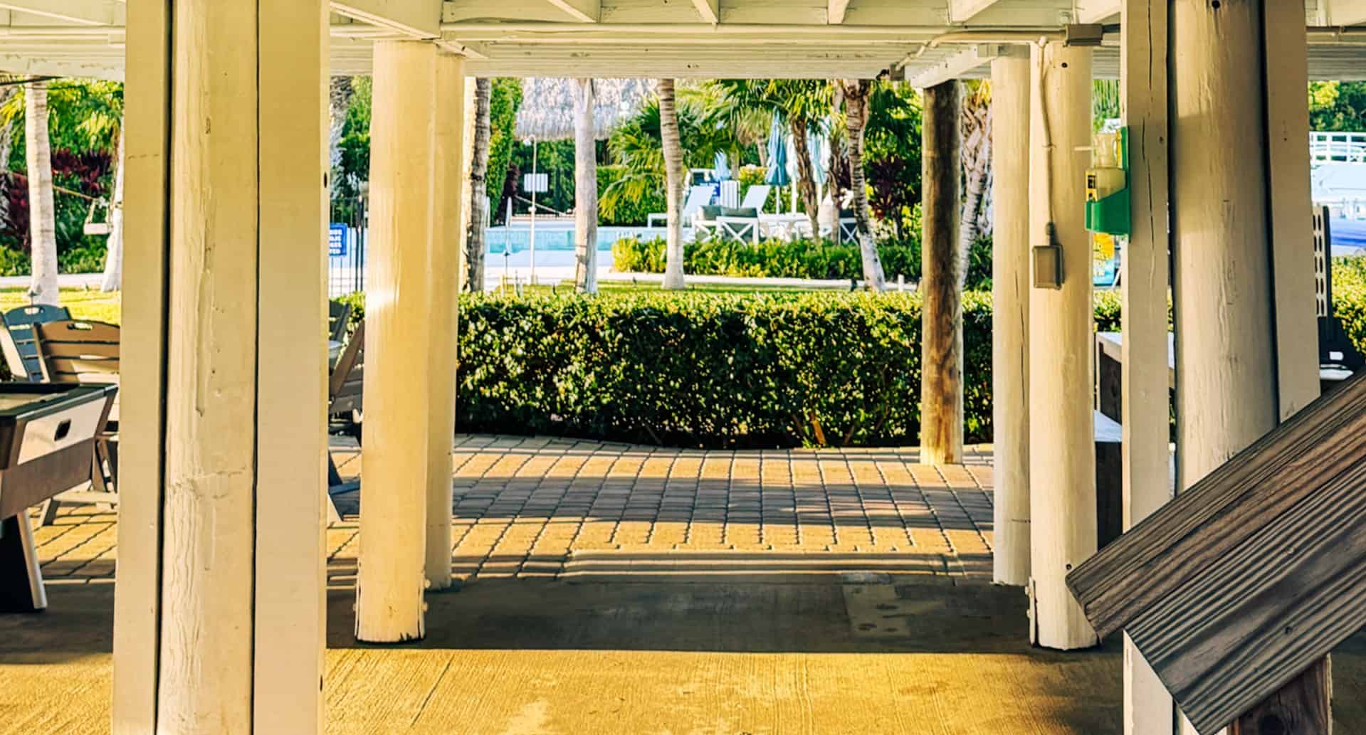 Islamorada-Private-Snorkeling-and-Sandbar-Experience