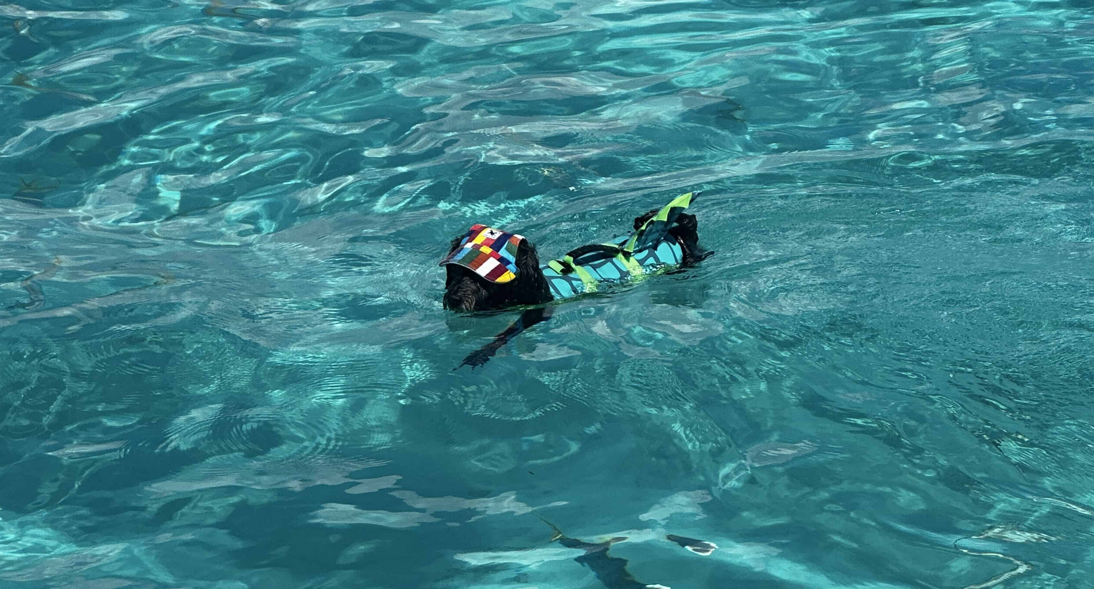 Islamorada-Private-Snorkeling-and-Sandbar-Experience