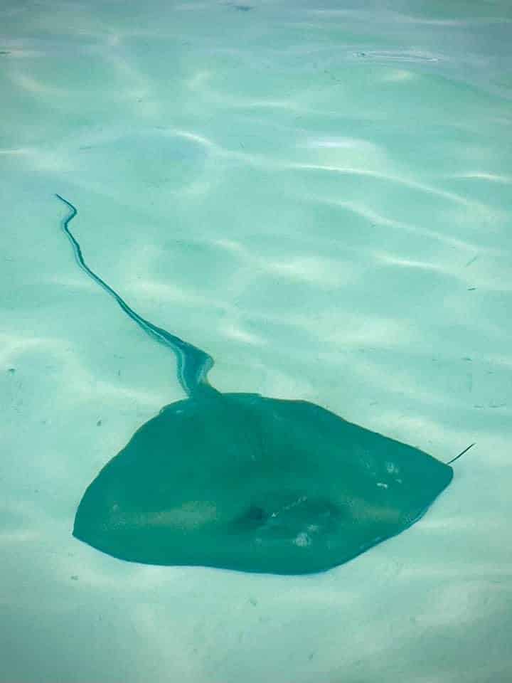 Islamorada-Your-Adventure-Your-Way-Custom-Charter